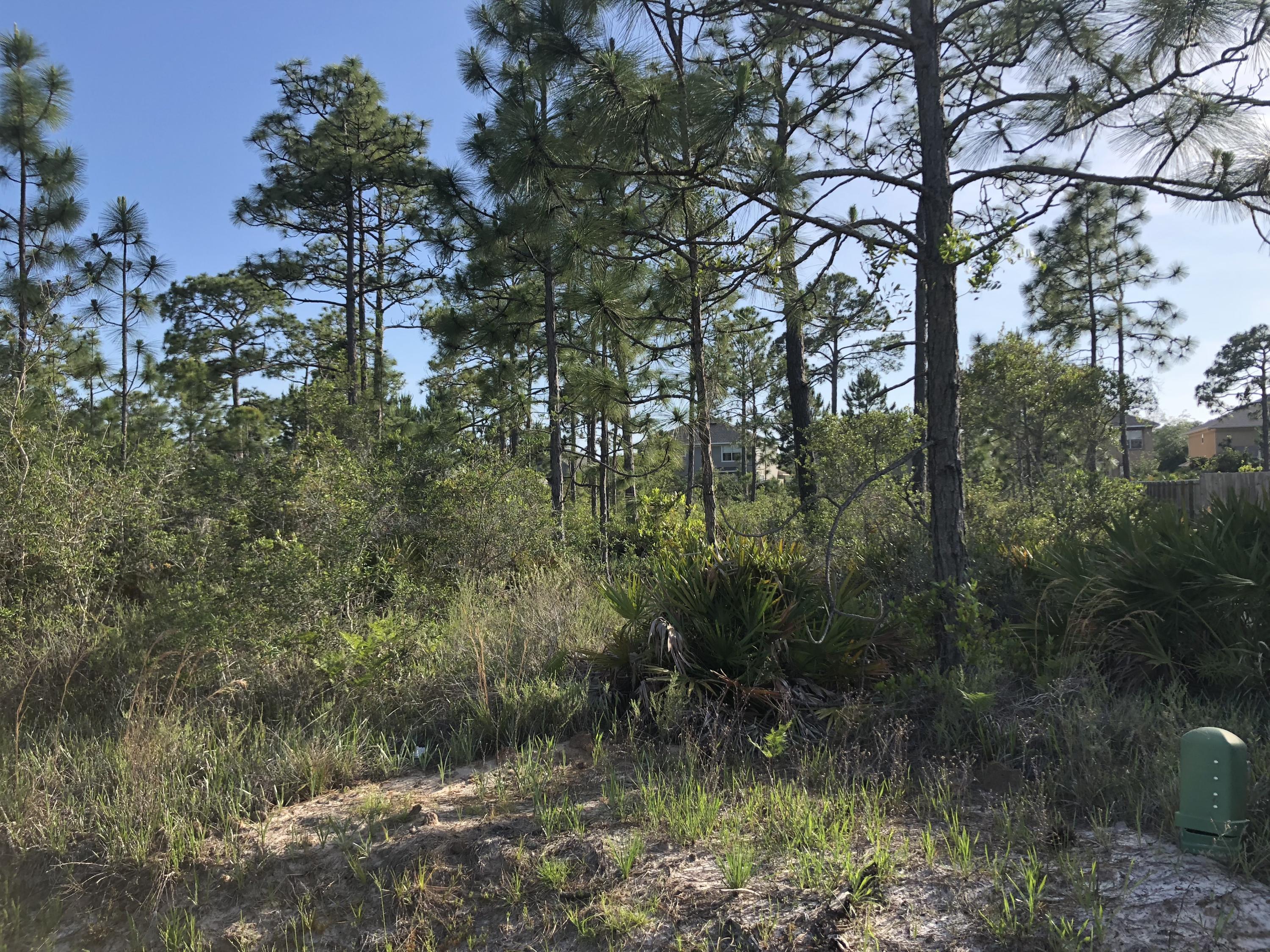 DRIFTWOOD ESTATES - Land