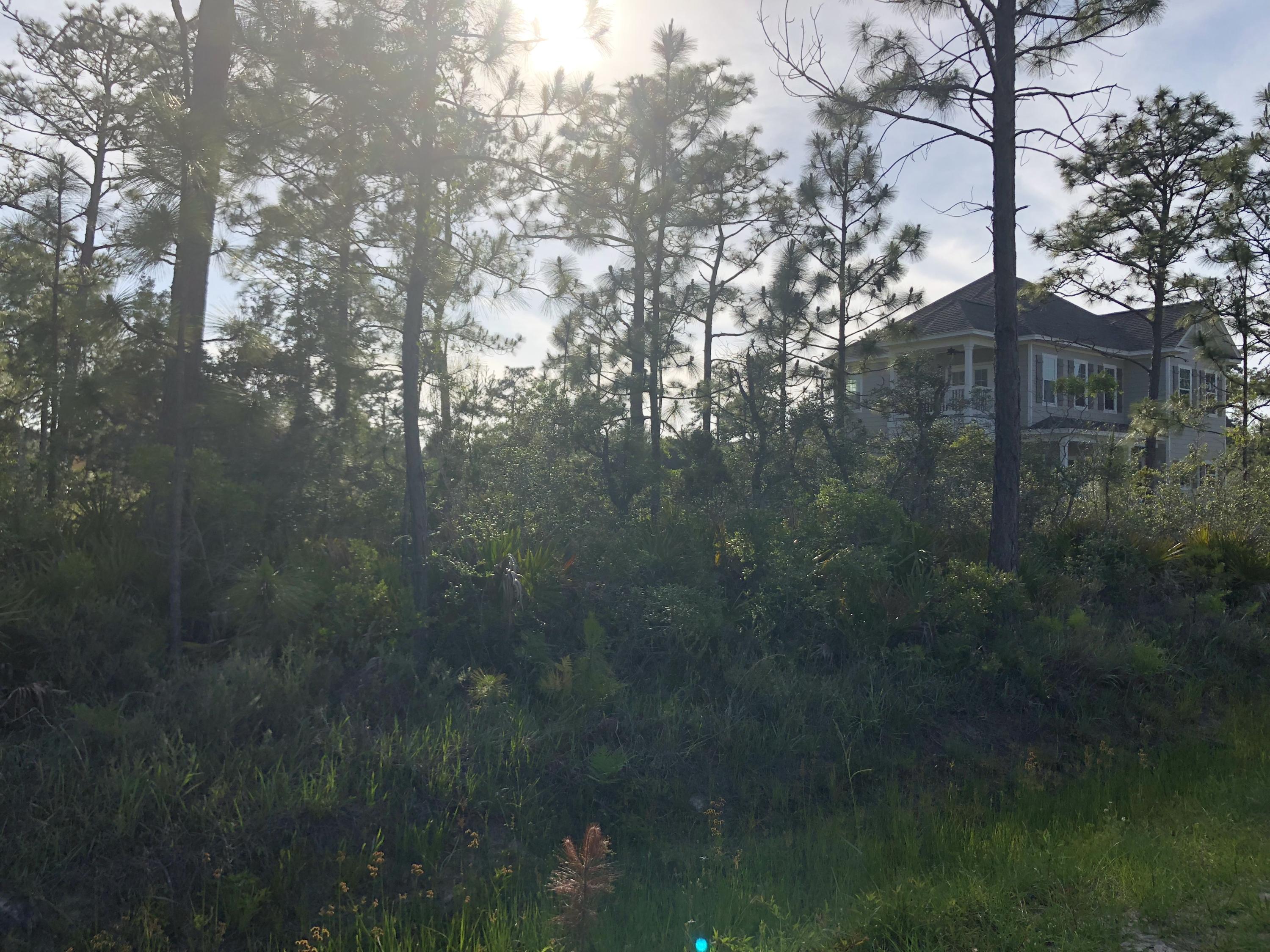 DRIFTWOOD ESTATES - Land