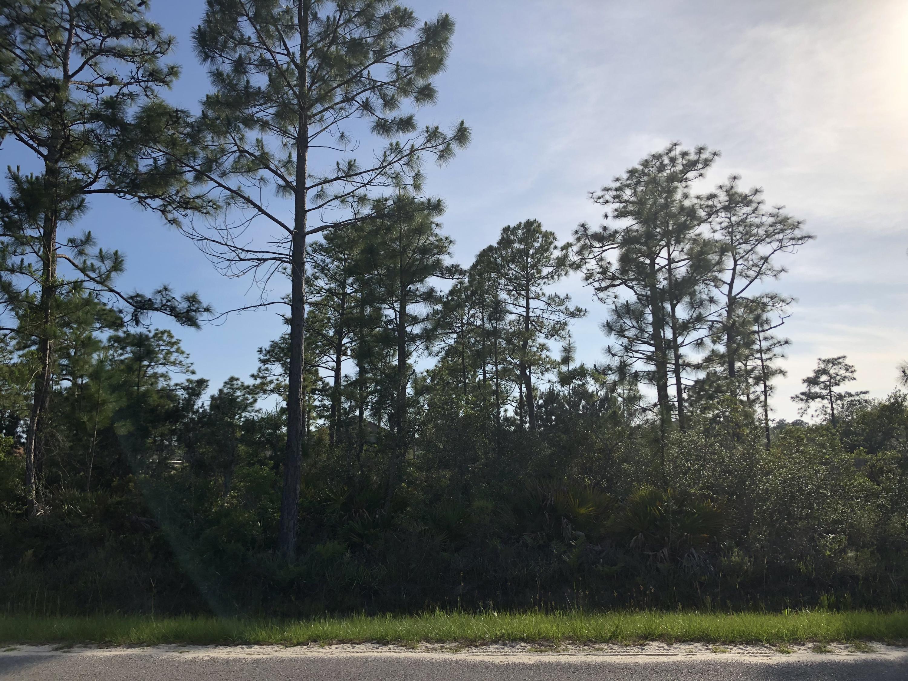 DRIFTWOOD ESTATES - Land