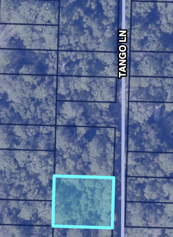 Affordable lots are becoming rare in today's market. Don't miss this opportunity to purchase land for less than $16,000.00.