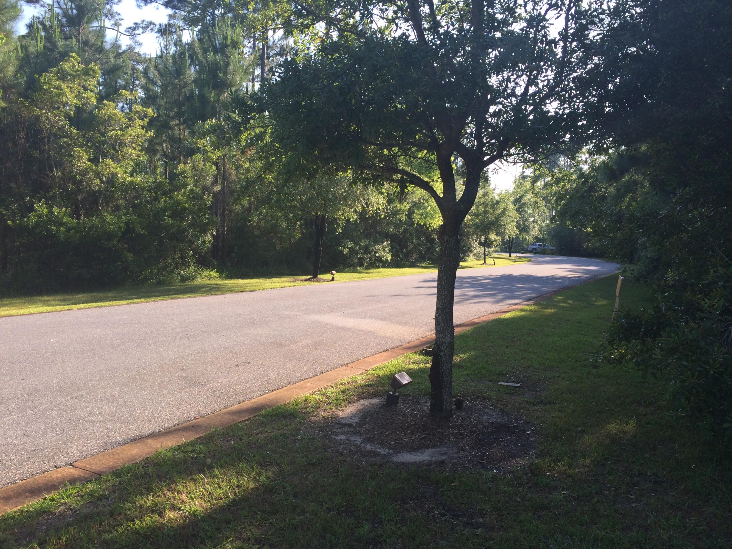 This beautiful level .014 acre lot awaits your new home, you can build at a minimum of 1800 sf ft. in the secure and double gated waterfront neighborhood. The approximate 55'' frontage by 118' deep residential lot is near the forefront of the community, in which boasts a surrounding Bayou waterfront among it's community pool. You can access the bay right from the community dock and fishing pier or from one of two nearby boat ramps (Charles E. Cessna public park, and another deep water ramp at the end of 393 North). This community is truly your own private playground.. swim, fish, kayak or go boating. The views in Cessna are breathtaking all for a lot less than on the Gulf.