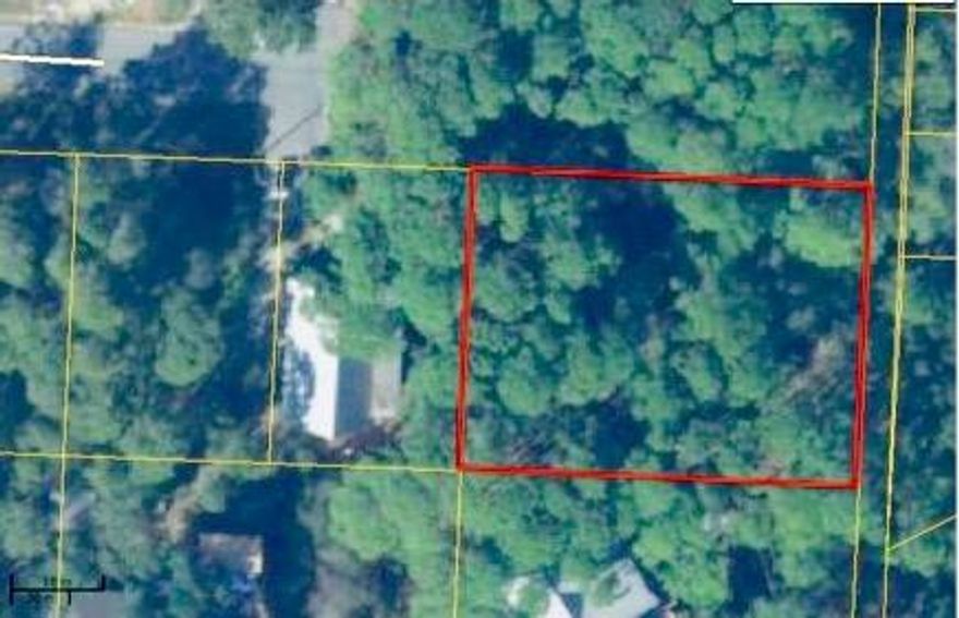 Build your home on these hidden away, wooded lots. Two lots sold together at the end of a Culdesac. Unique subdivision with NO Association Fees AND Beach Access just North of Hwy 30A and you can walk to the beach. A home here will have a very private/secluded feel but with all of the fun, restaurants, music that 30A offers just blocks away! Lots are wholly impacted by Wetlands, AE Flood Zone so check on building height required by ins, also Coastal Dune Lake into Draper Lake. Not sure if Navigable. Build on 40% on Pilons of each lot with Storm Water Plan from an engineer. Info is per Walton County Planning and Zoning. Buyer needs to verify. Priced to make it worth your while!