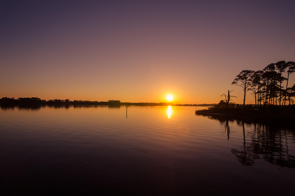WILD HERON - Residential