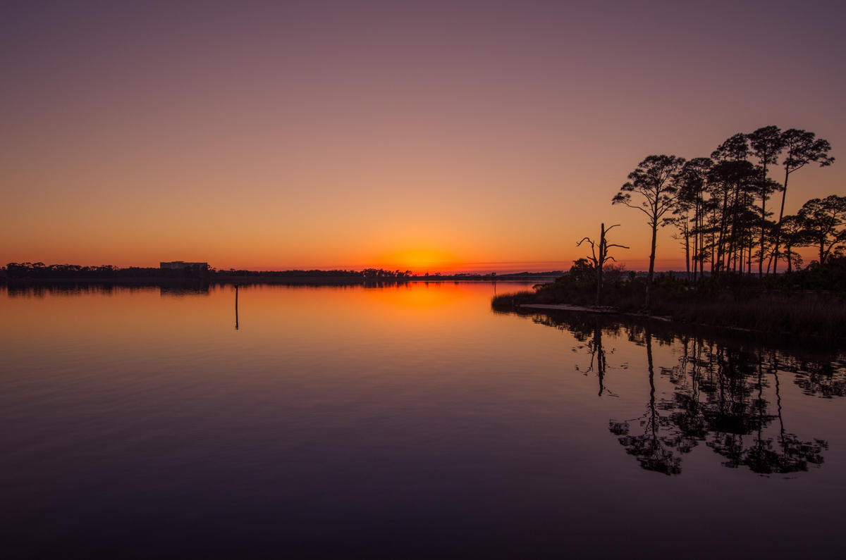 WILD HERON - Residential