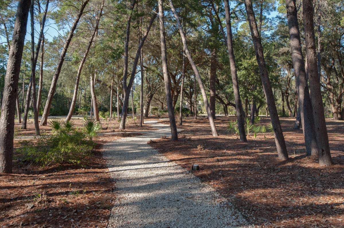 WILD HERON - Residential