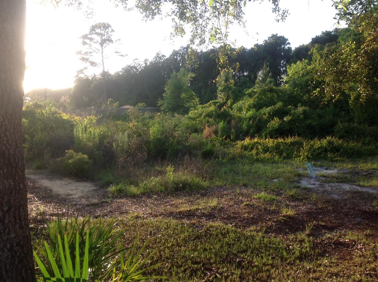 Build your dream home on this beautiful vacant lot in prestigious Martinique! Don't miss out on this very rare opportunity.