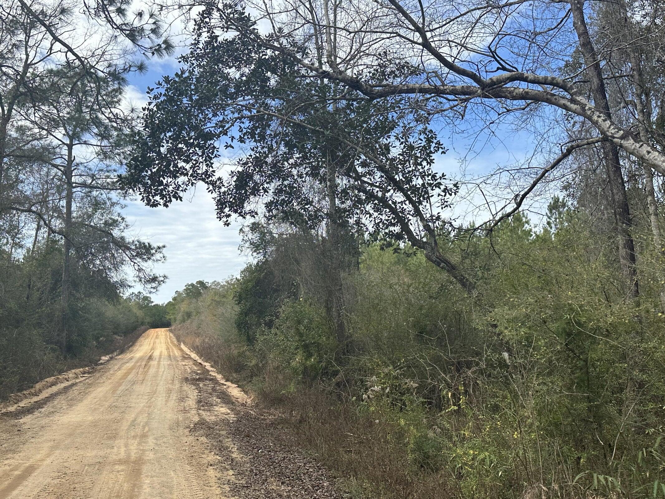 Dream Location for Hunters Paradise you won't want to miss this opportunity! This Beautiful 34.89 +/- Acres of prime land has so much to offer. Bring your hunting gear, Horses, and ATVS LOCATION LOCATION!!!! This Property has Easy Access to Hwy 179, Hwy 177, Hwy 2 and County Rd 65. Take Love Rd to the Florida/ Alabama State line or head to Panama City Beaches I-10, Hwy 79, Hwy 81, and Hwy 90. Additional land available