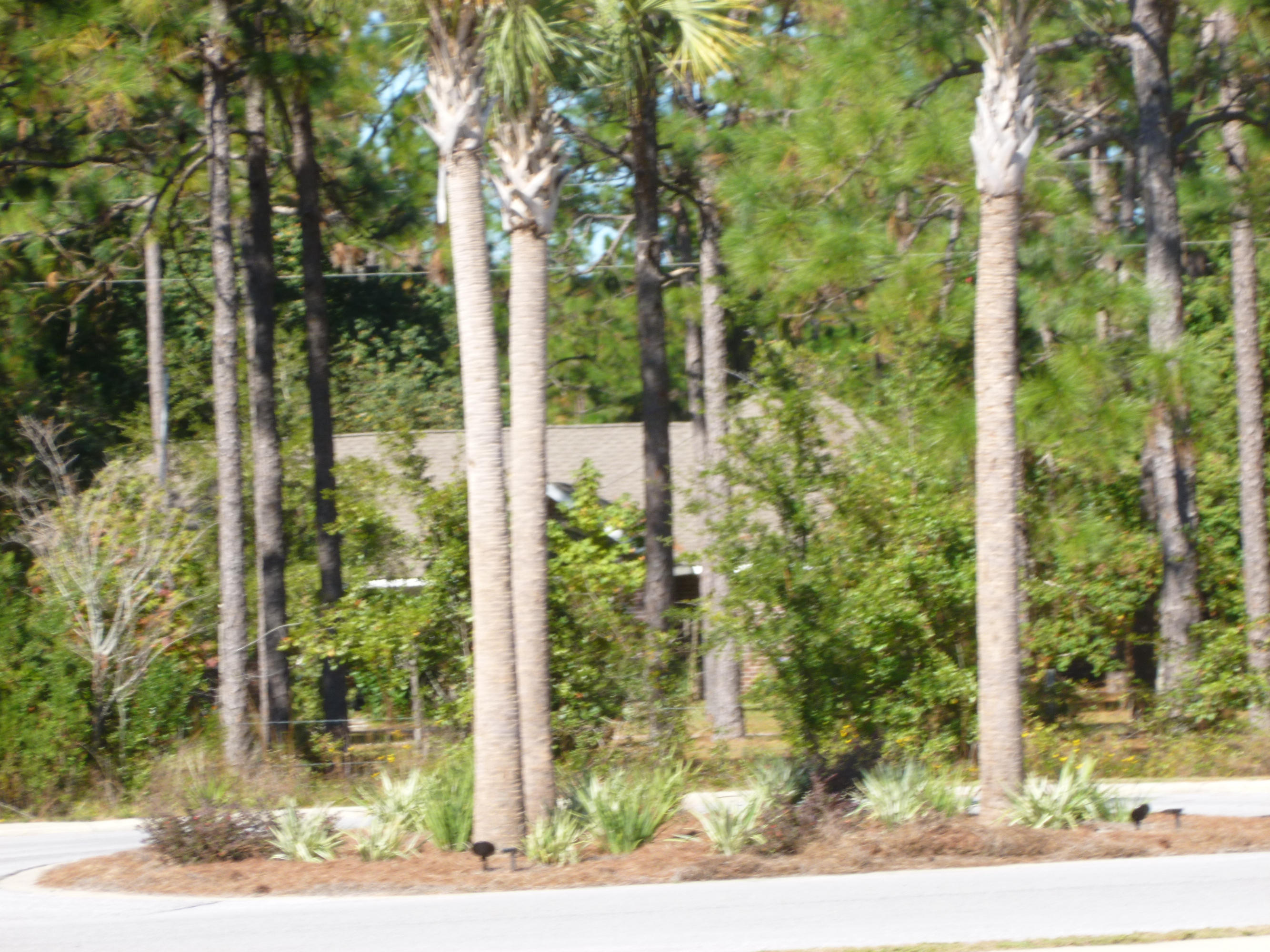 WATER OAKS T/H - Residential