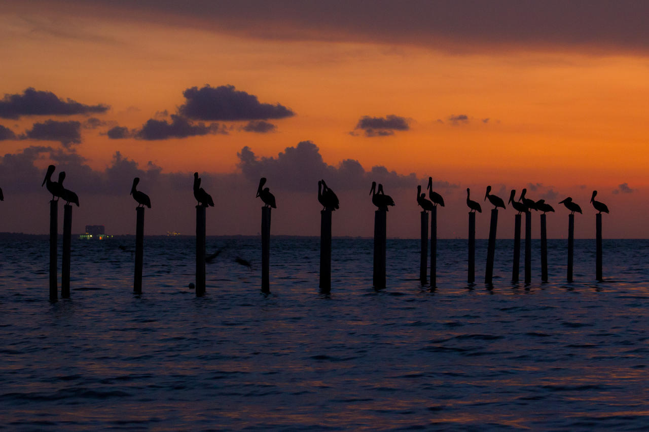 DRIFTWOOD ESTATES - Land