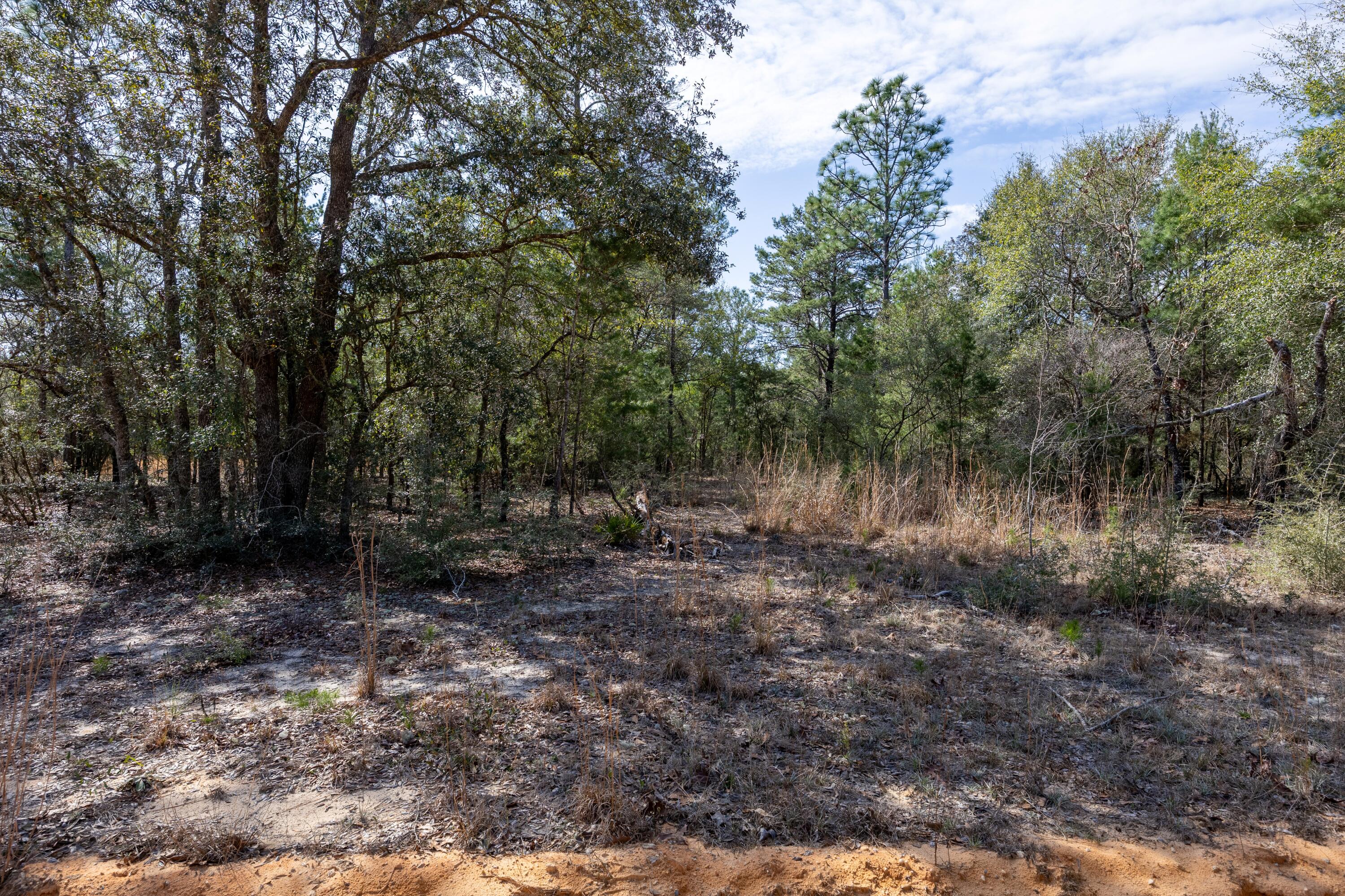 UNIT FOUR OF OAKWOOD HILLS - Land