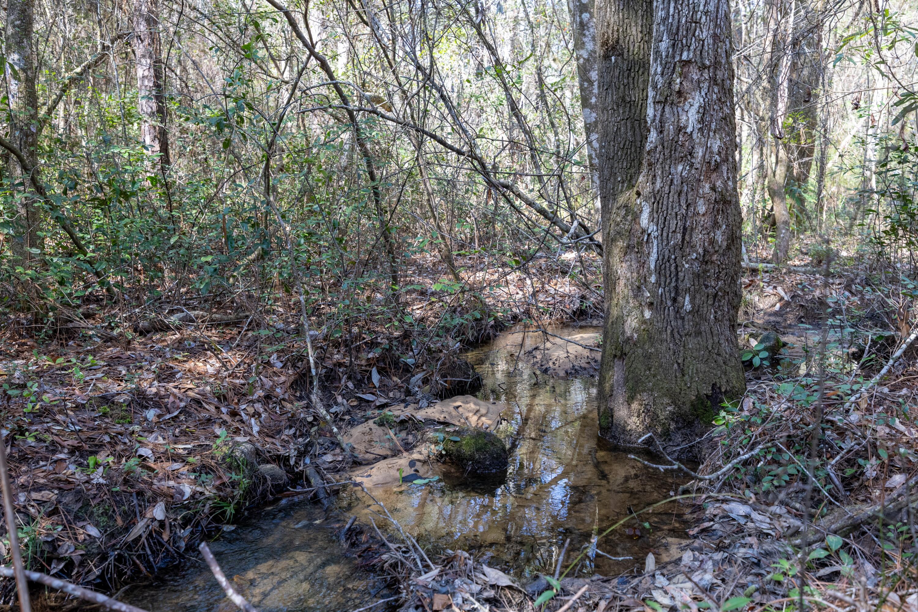 UNIT FOUR OF OAKWOOD HILLS - Land