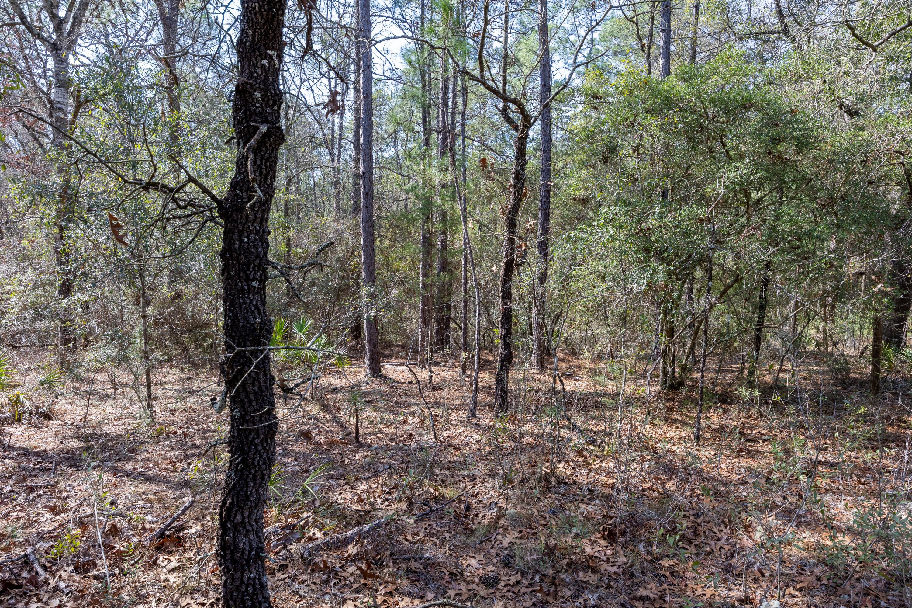 UNIT FOUR OF OAKWOOD HILLS - Land