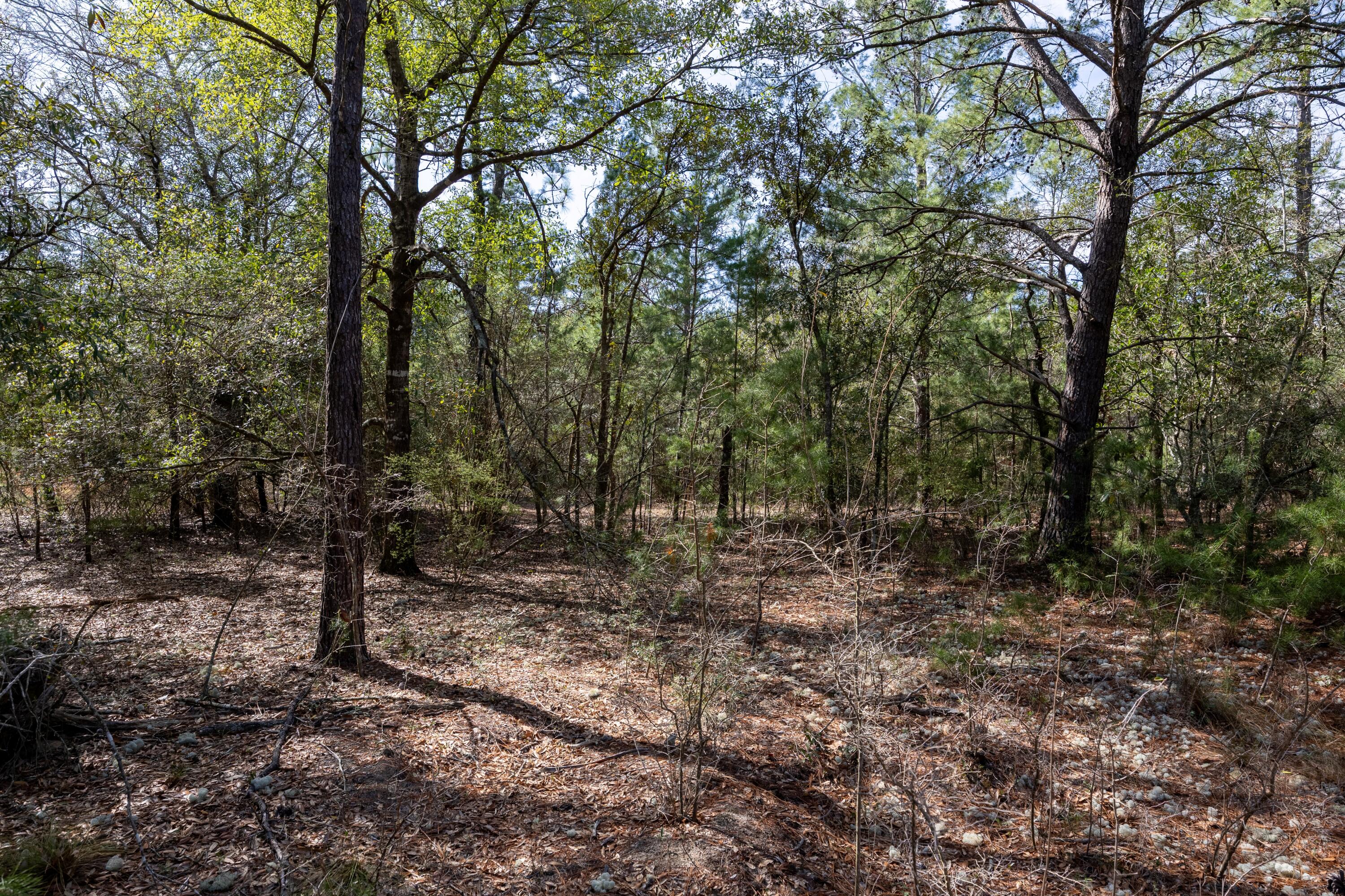 UNIT FOUR OF OAKWOOD HILLS - Land