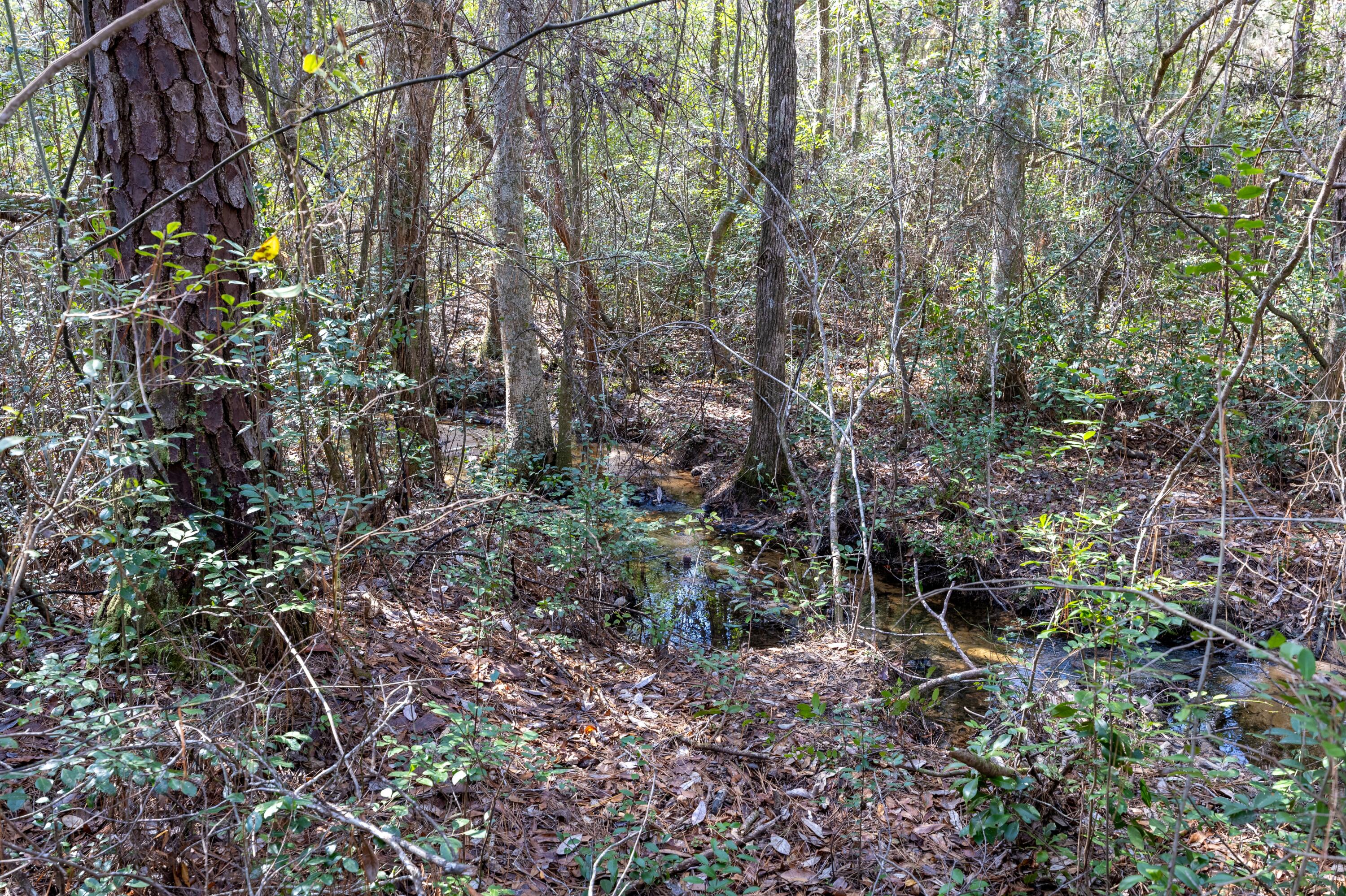 UNIT FOUR OF OAKWOOD HILLS - Land