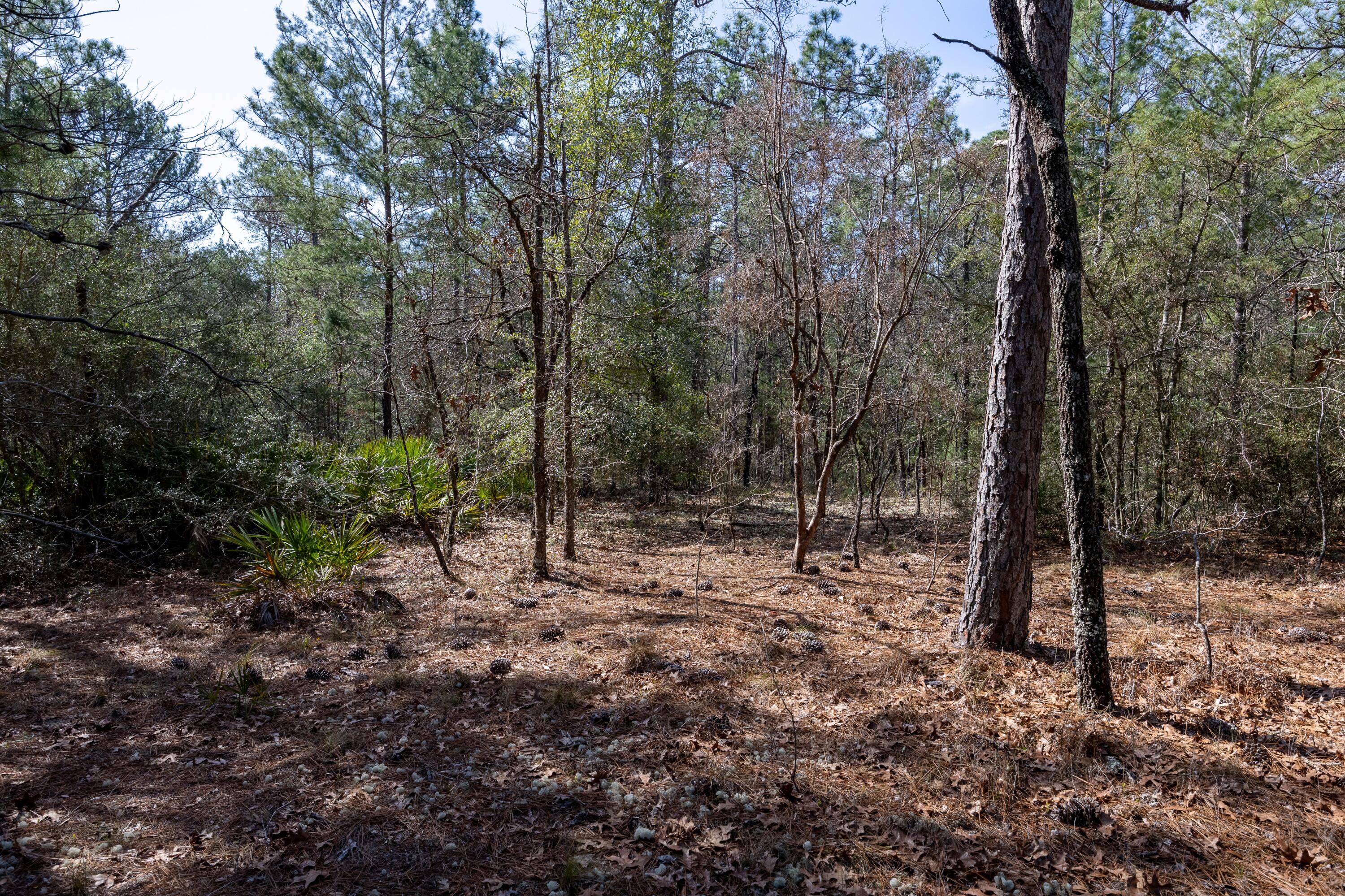 UNIT FOUR OF OAKWOOD HILLS - Land