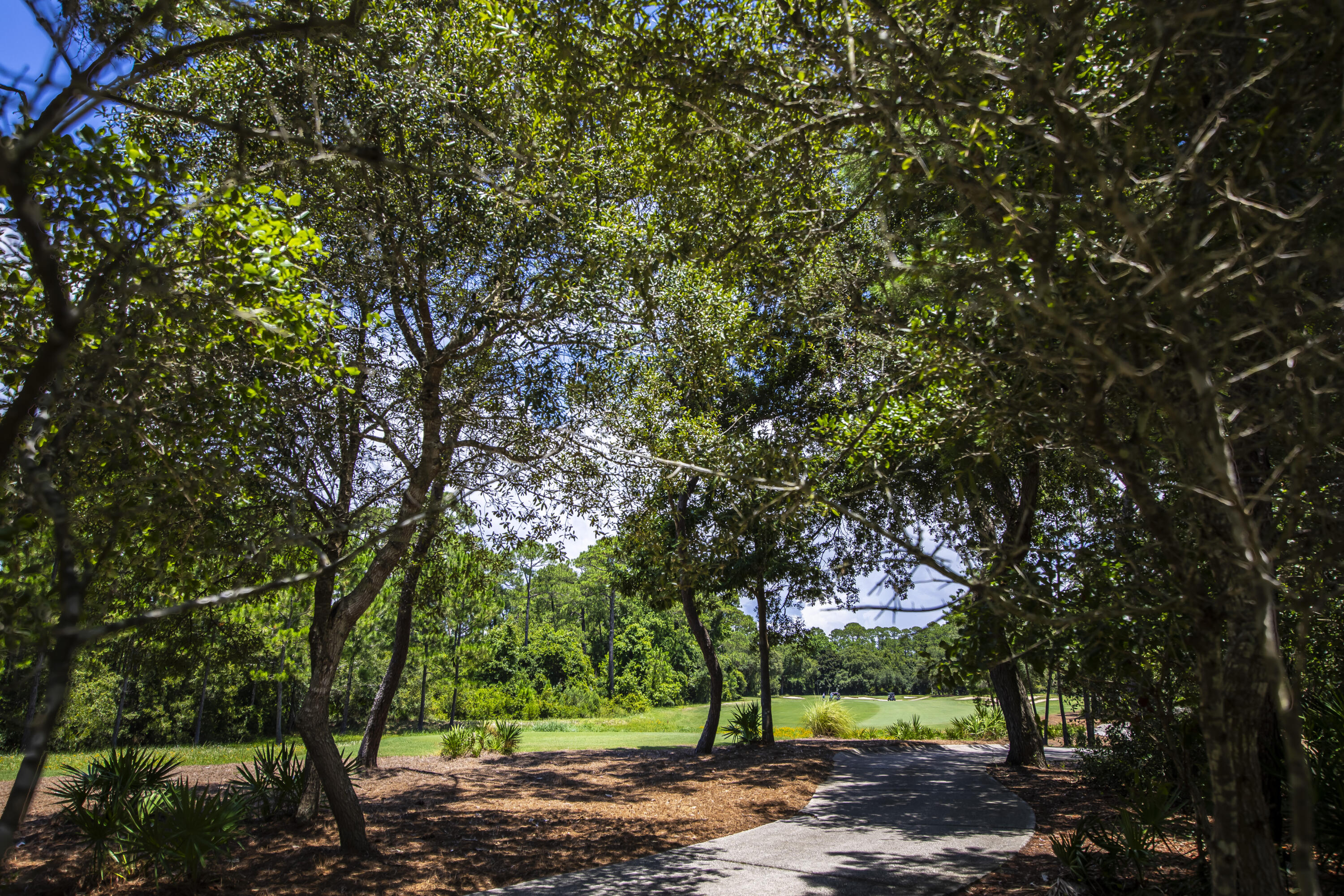 WILD HERON - Residential