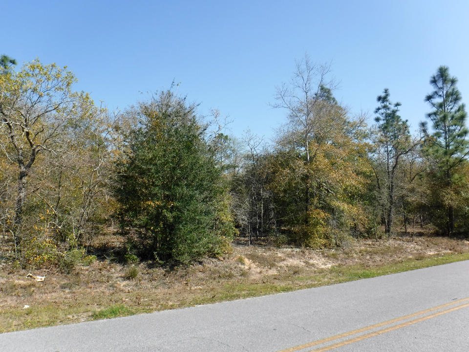 Nice buildable lot in the Juniper Lake Estates area of Oakwood hills. Juniper Lake, a 600+ acre state managed lake, is close by. The property is just a short drive to historic DeFuniak Springs and about an hour to the beaches and shopping of South Walton.