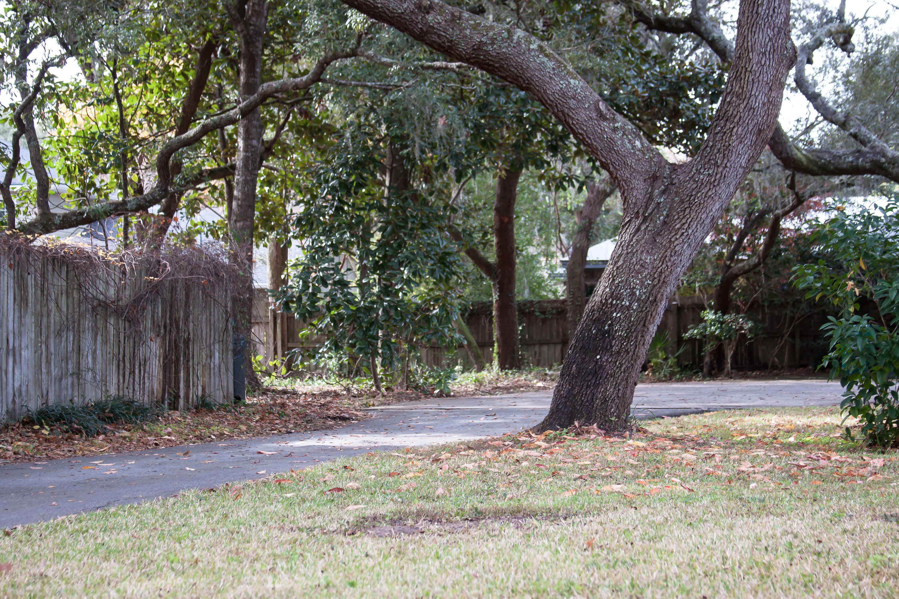 HOMESTEAD S/D - Land