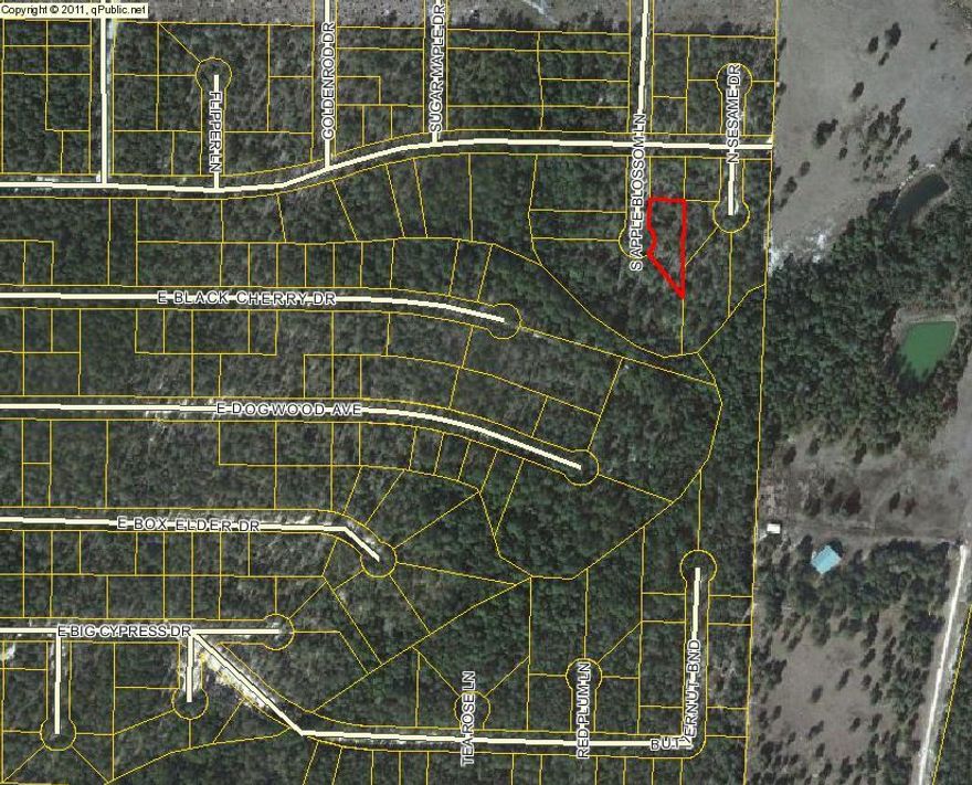 Lot is not clearly marked. Dirt road to property. There are 2 lots under the parcel ID and each lot is sold individually for $1900 a piece. Can buy both lots for $3,800