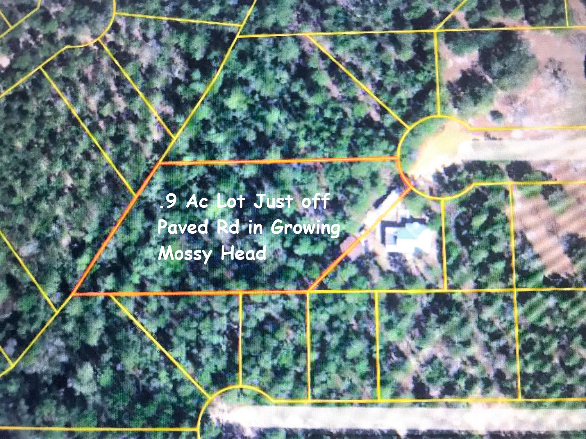 Great location for just under 1 ac (9/10 ac) in growing Mossy Head area. Conveniently located within 10 minutes to downtown Defuniak Springs to the East and also Hwy 285 in Mossy Head for a quick commute to Crestview, Niceville and Eglin AFB. Lot is located just off paved road. Build your dream home or have a manufactured home installed on this lot. No utilities currently on property but homes nearby. Survey available. Great opportunity to invest in this fast growing area of the FL Panhandle!