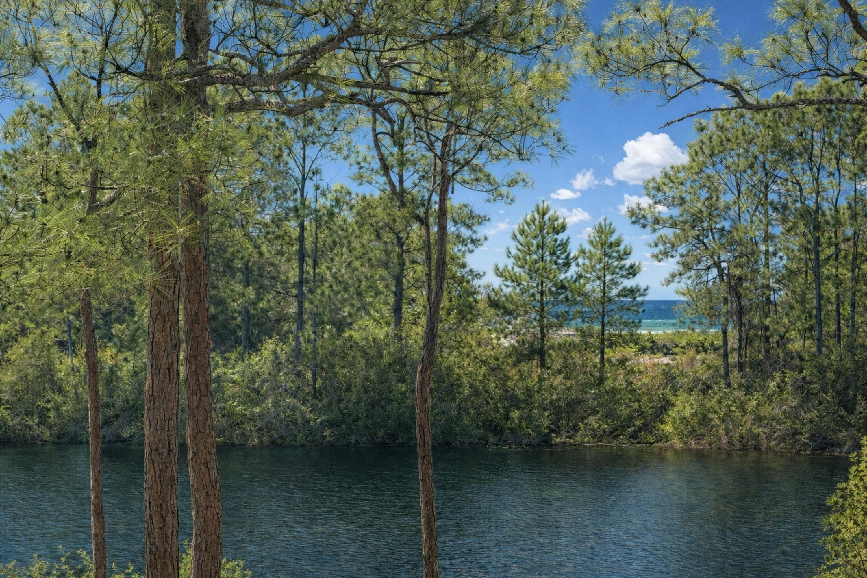 MAR-A-LAGO - Residential
