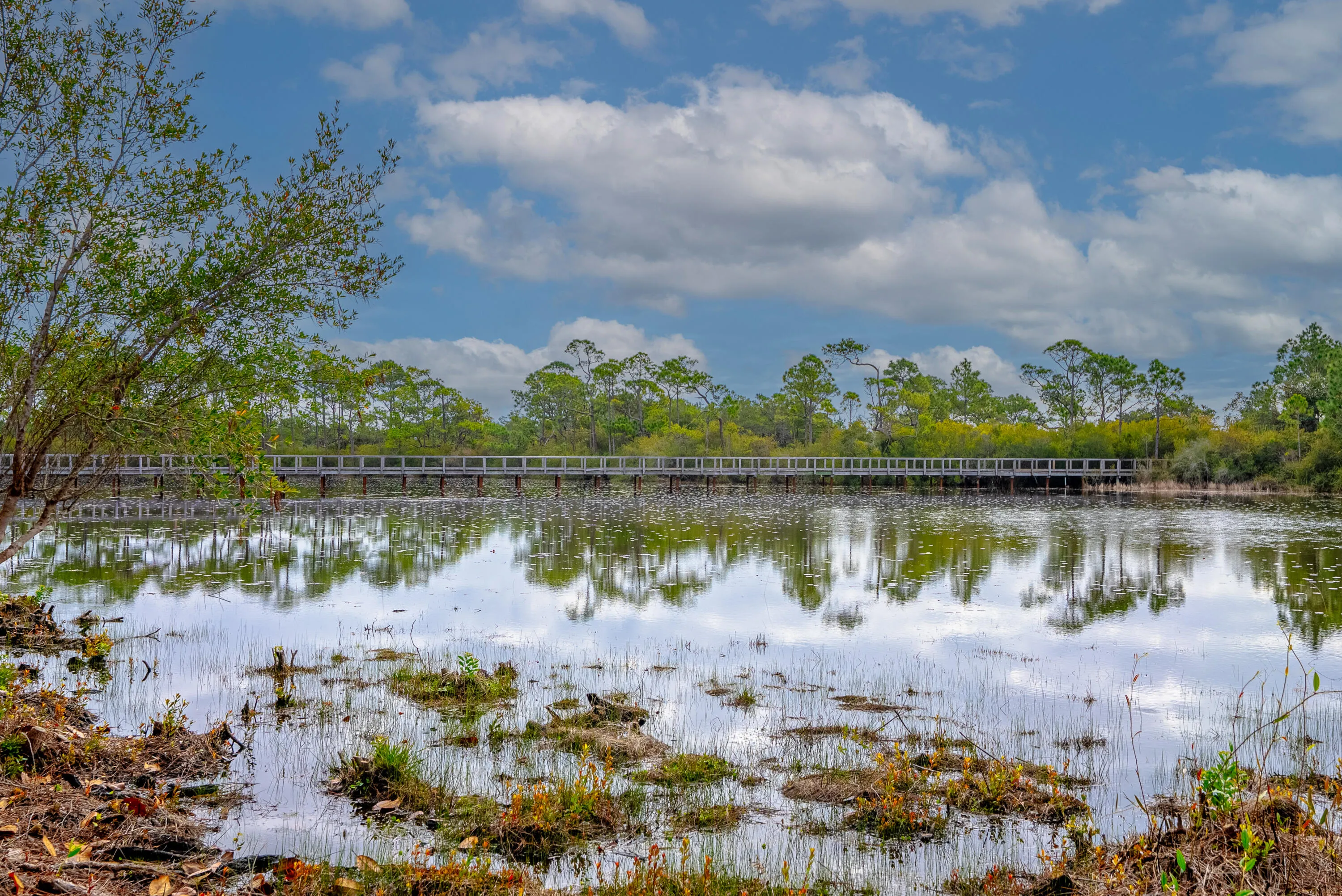Santa Rosa Beach, Florida, 32459, United States, 3 Bedrooms Bedrooms, ,4 BathroomsBathrooms,Residential,Active,2006557