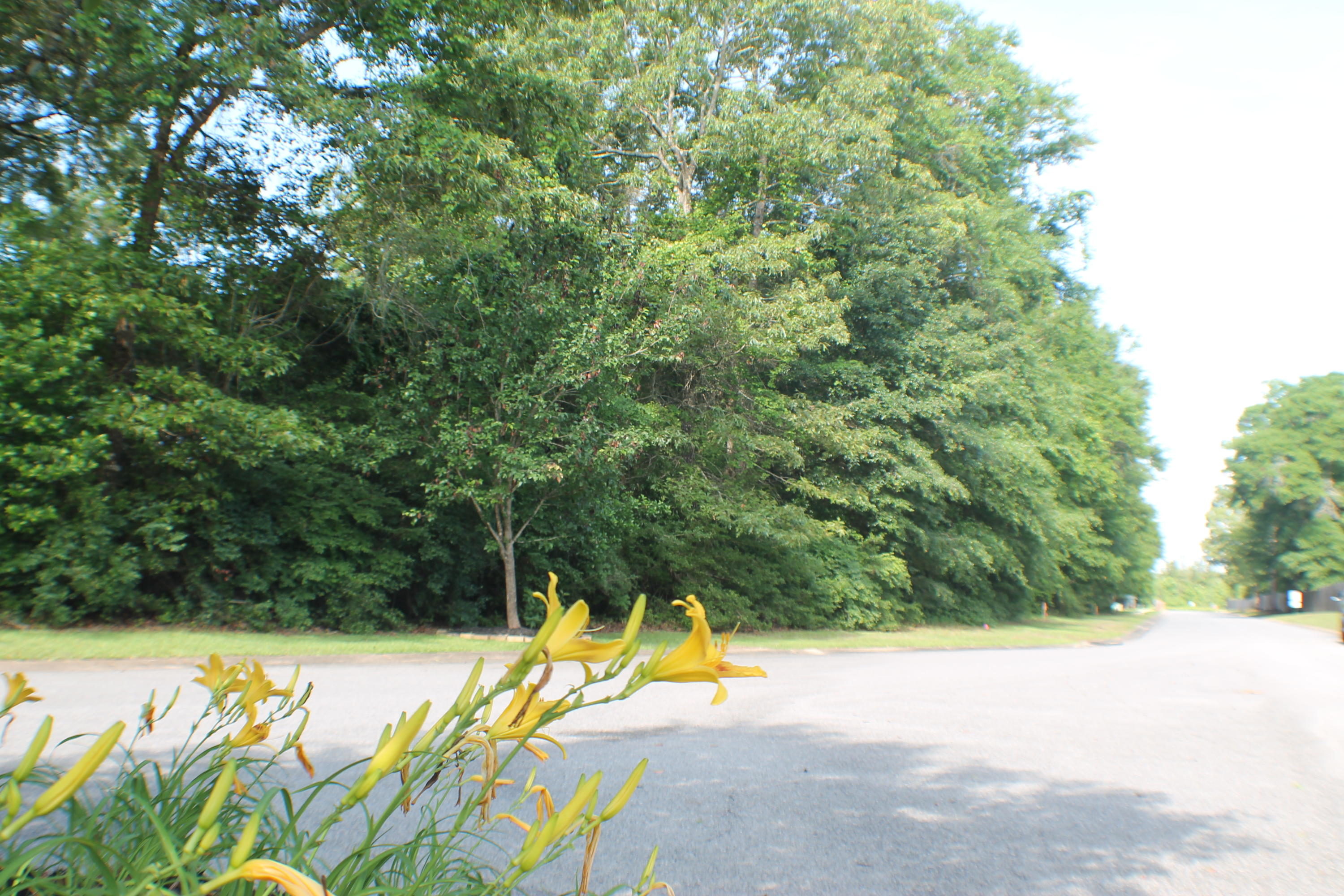 LAKE ARTHUR ESTATES - Land