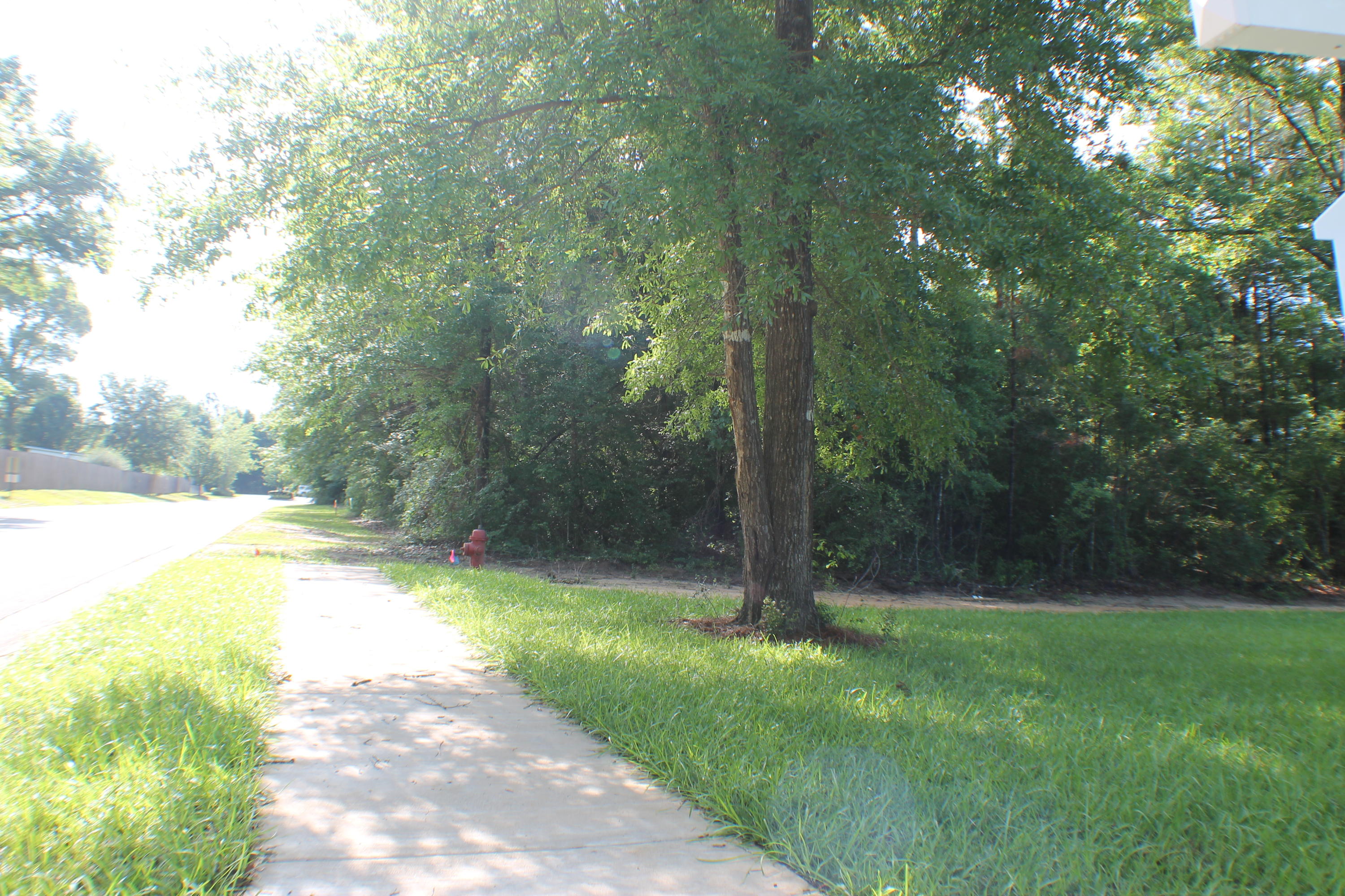 LAKE ARTHUR ESTATES - Land