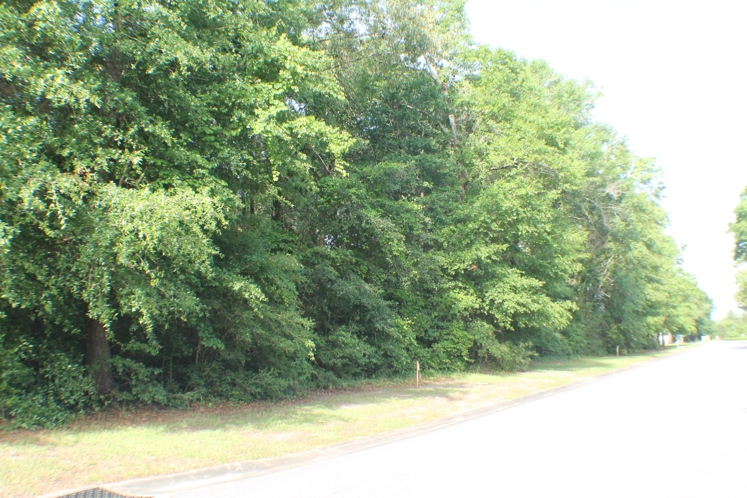 LAKE ARTHUR ESTATES - Land