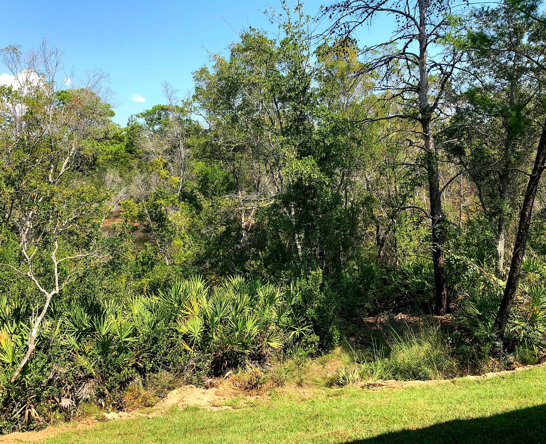 Peach Creek, Phase 5 - Residential