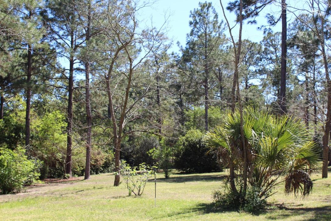 Lake Stanley & Back Lake - Residential