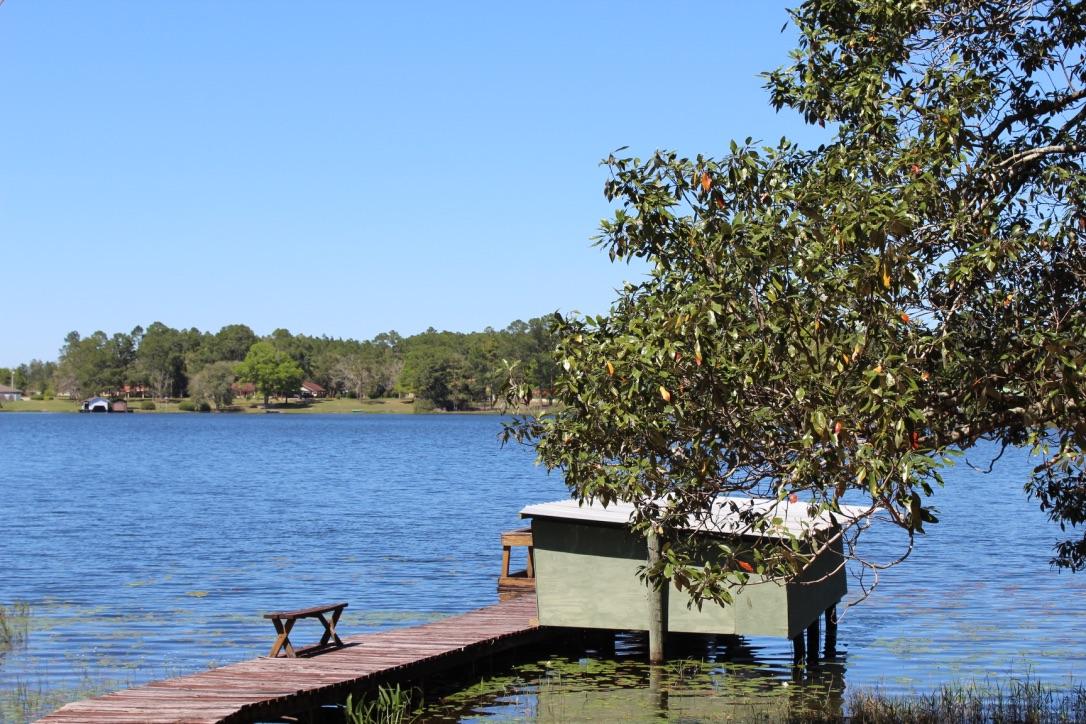 Lake Stanley & Back Lake - Residential