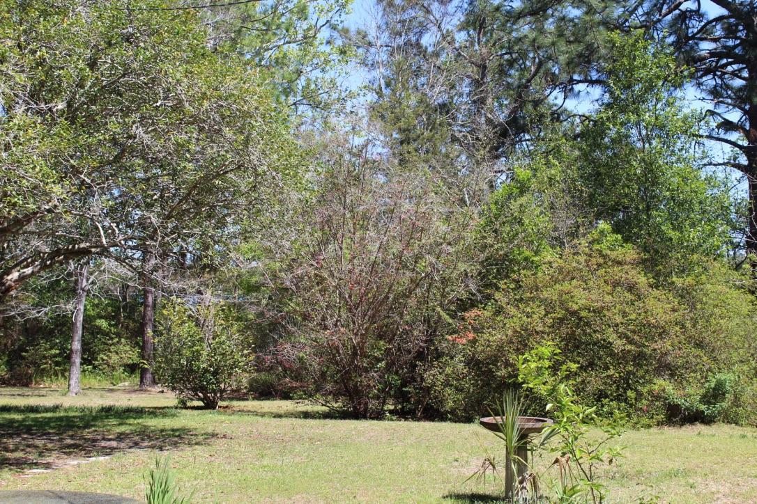 Lake Stanley & Back Lake - Residential