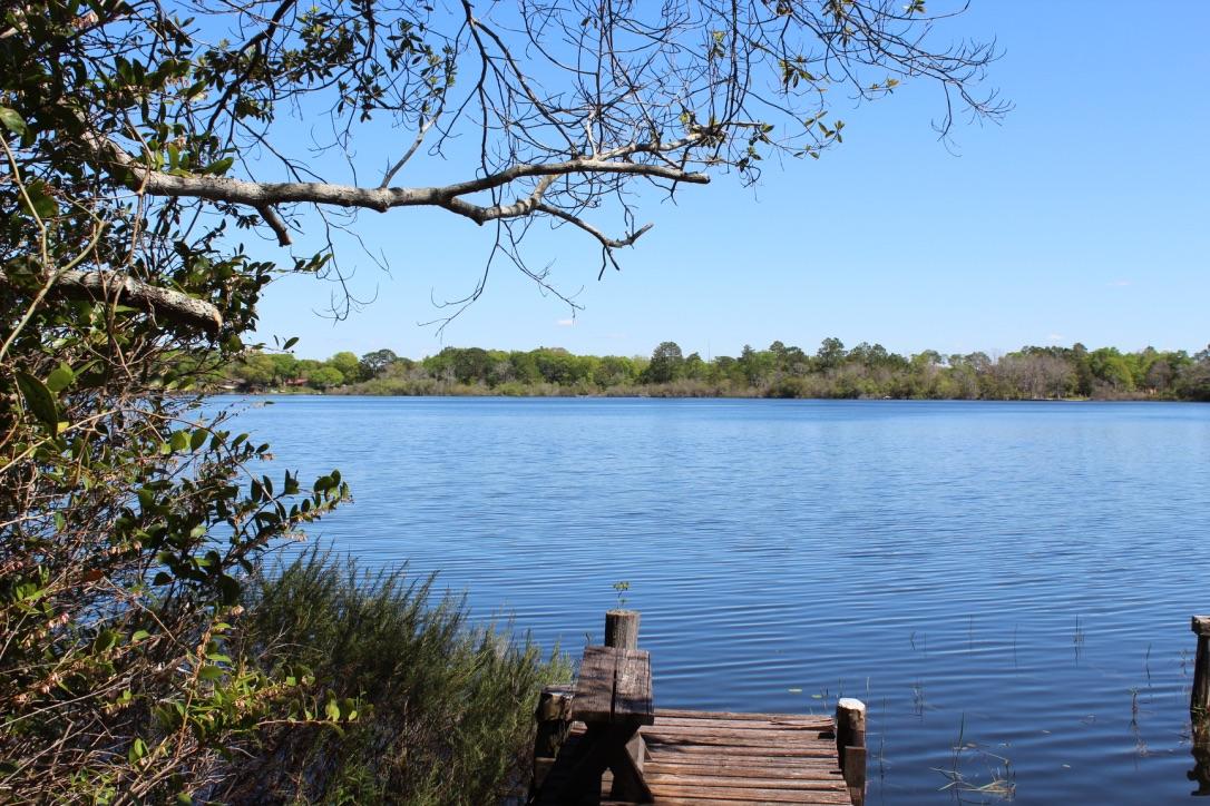Lake Stanley & Back Lake - Residential