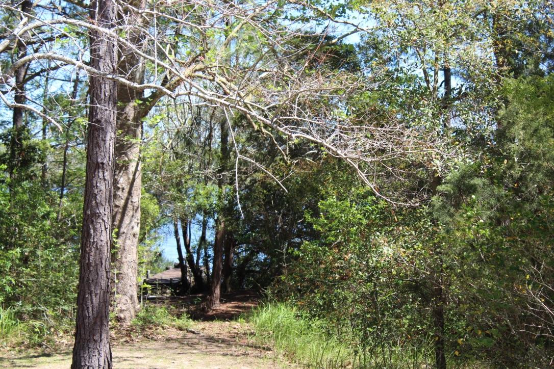 Lake Stanley & Back Lake - Residential