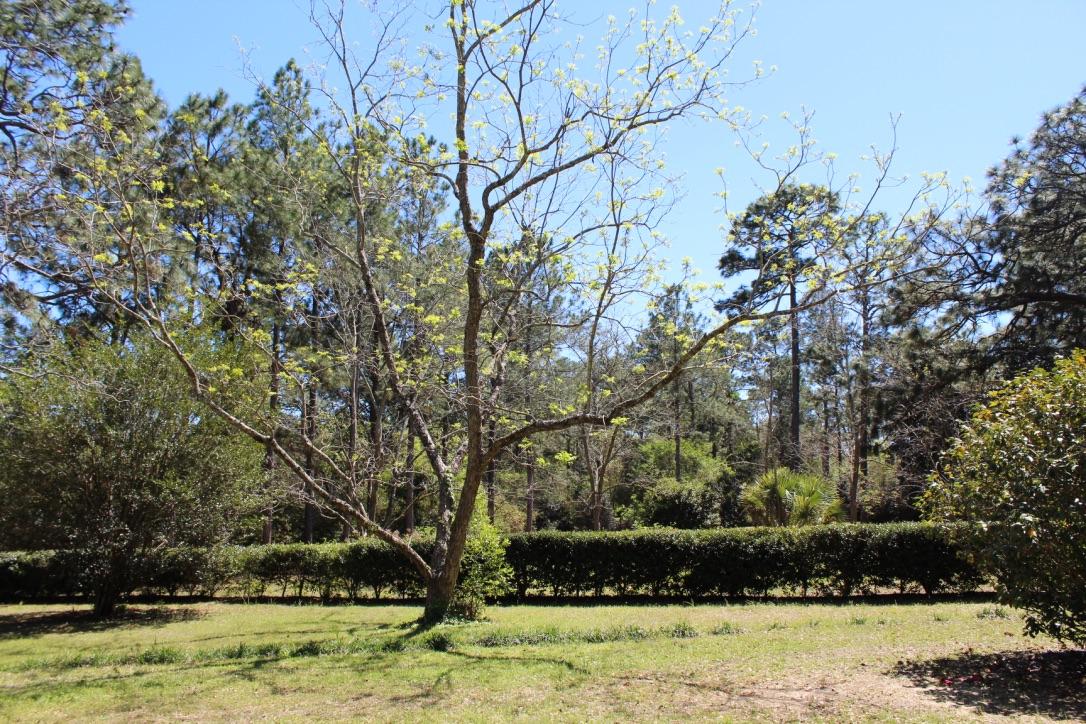 Lake Stanley & Back Lake - Residential