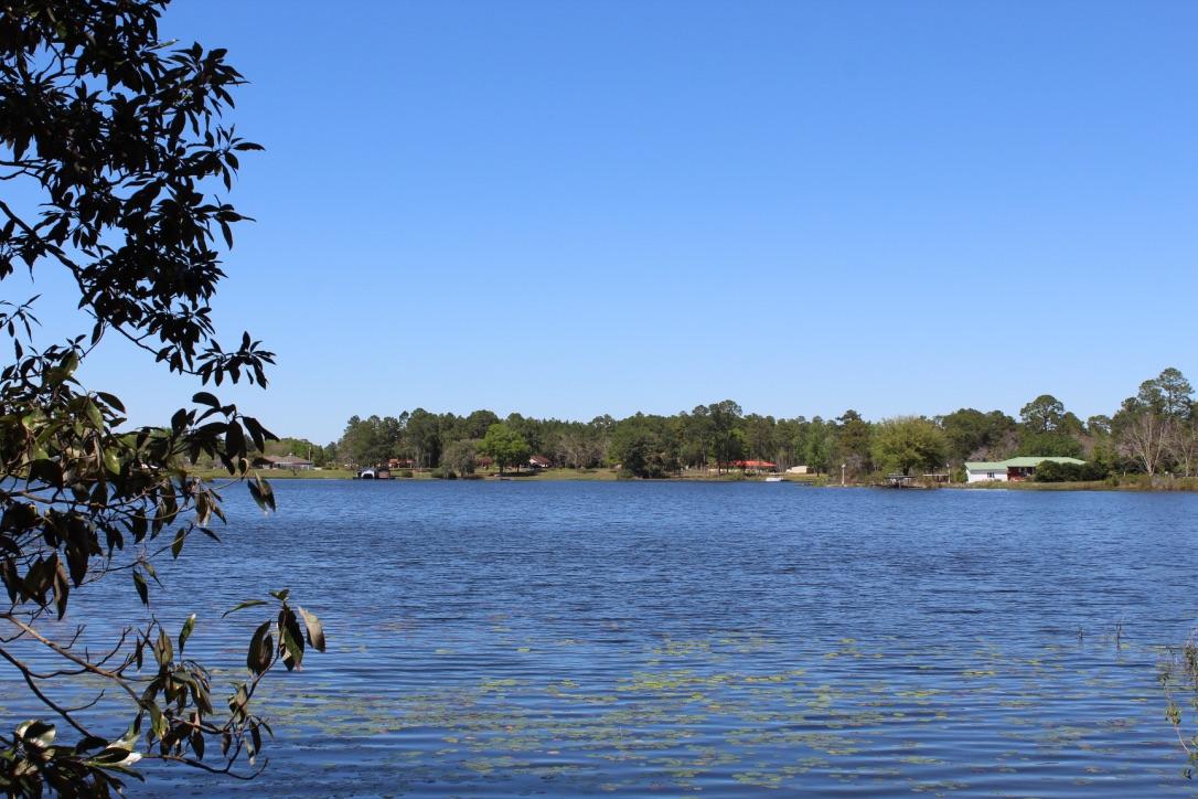 Lake Stanley & Back Lake - Residential