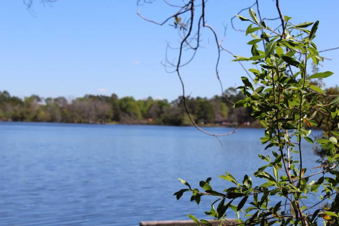 Lake Stanley & Back Lake - Residential