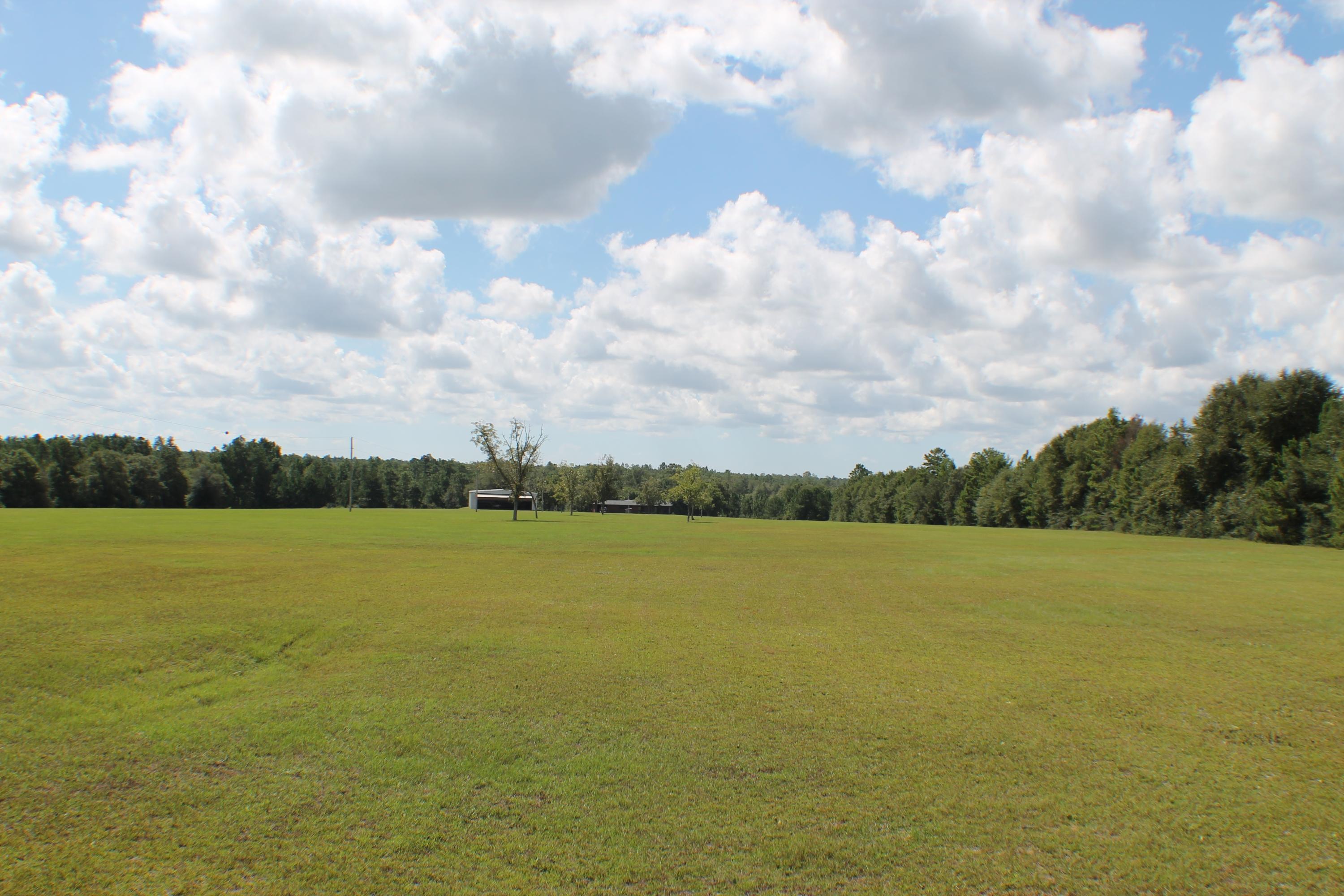 MT OLIVE ESTATES - Residential