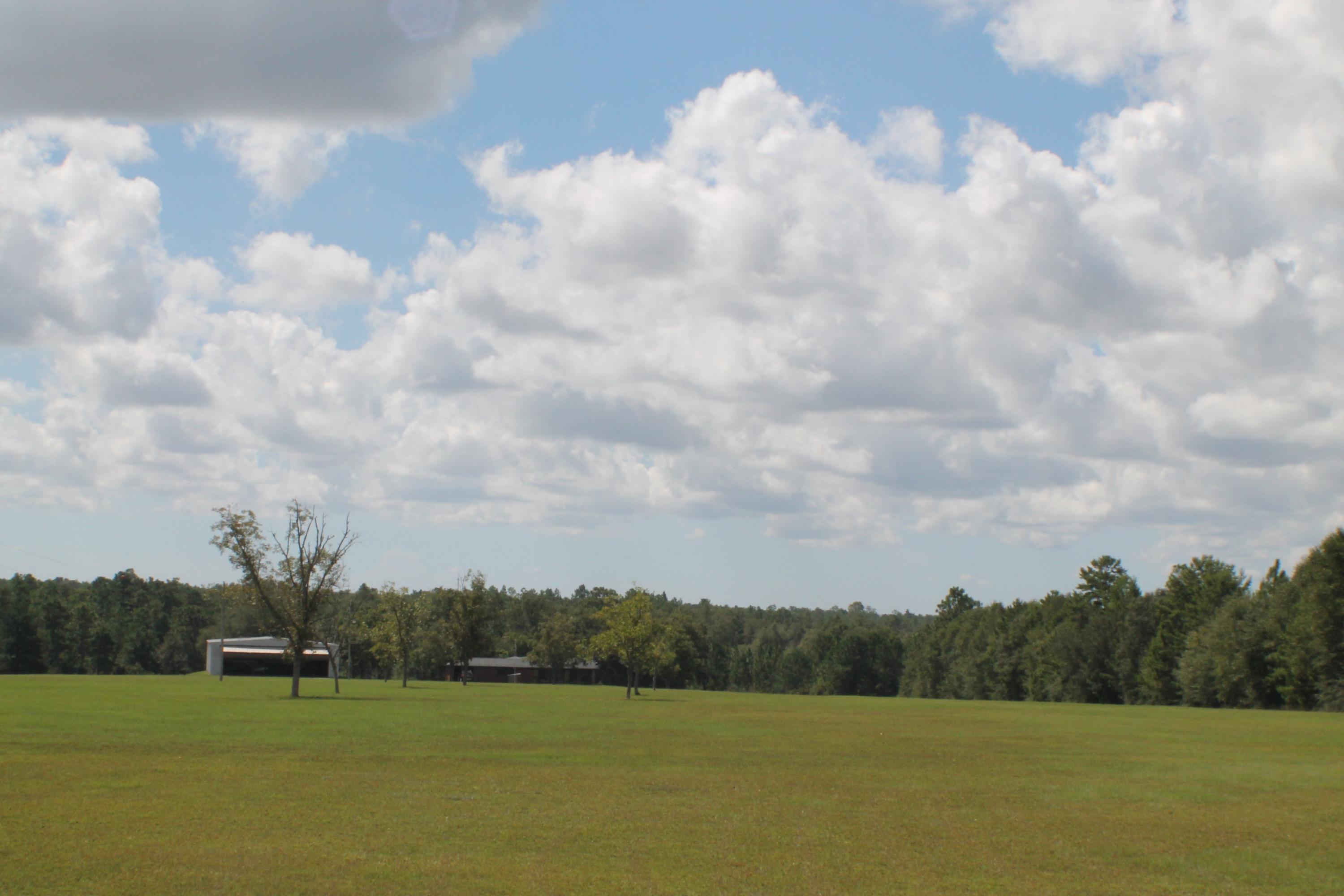 MT OLIVE ESTATES - Residential