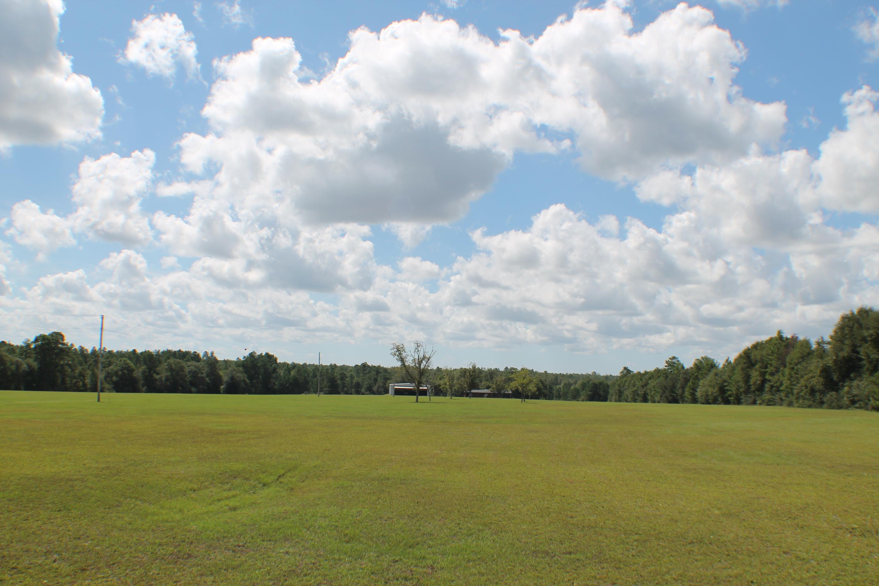 MT OLIVE ESTATES - Residential