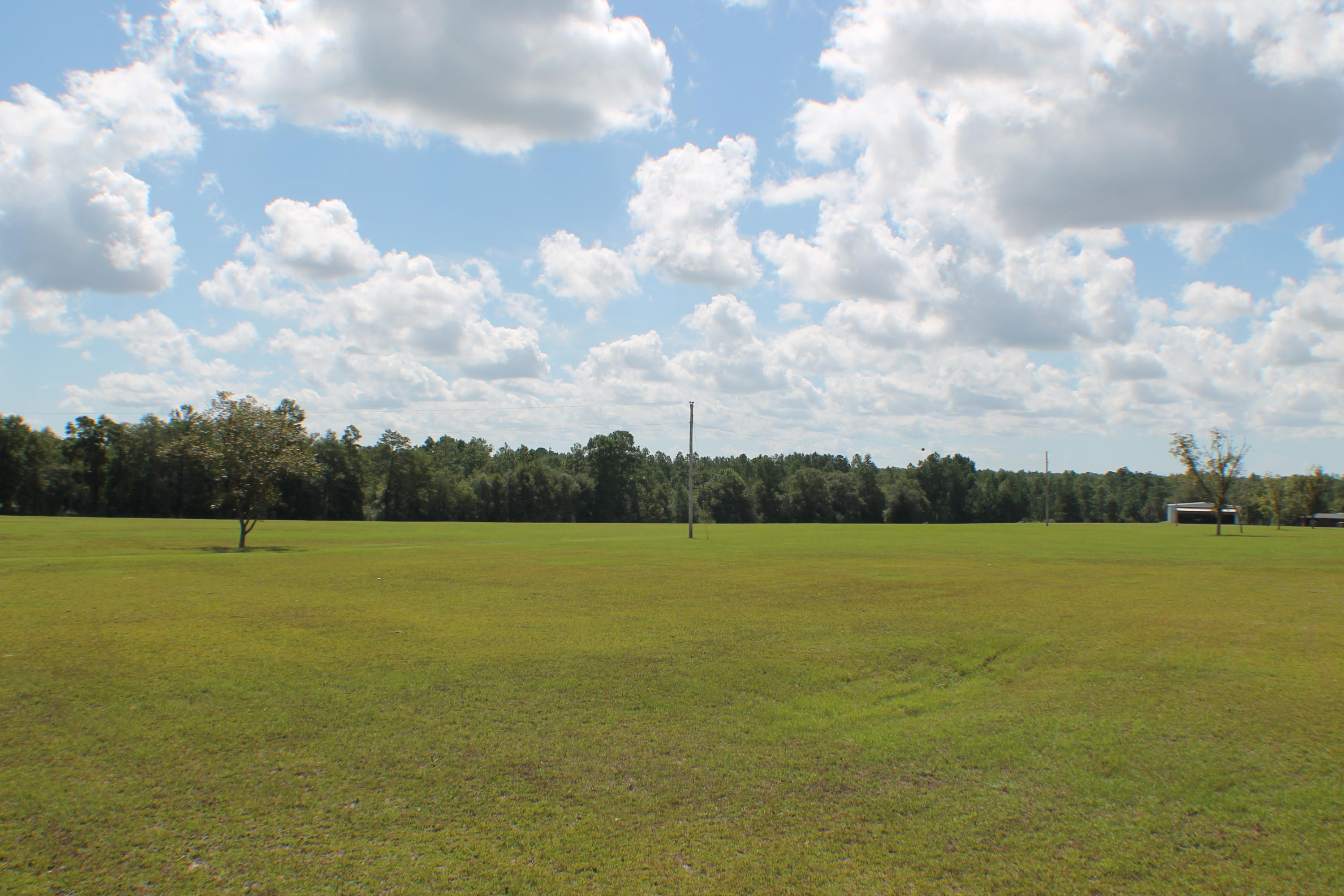 MT OLIVE ESTATES - Residential