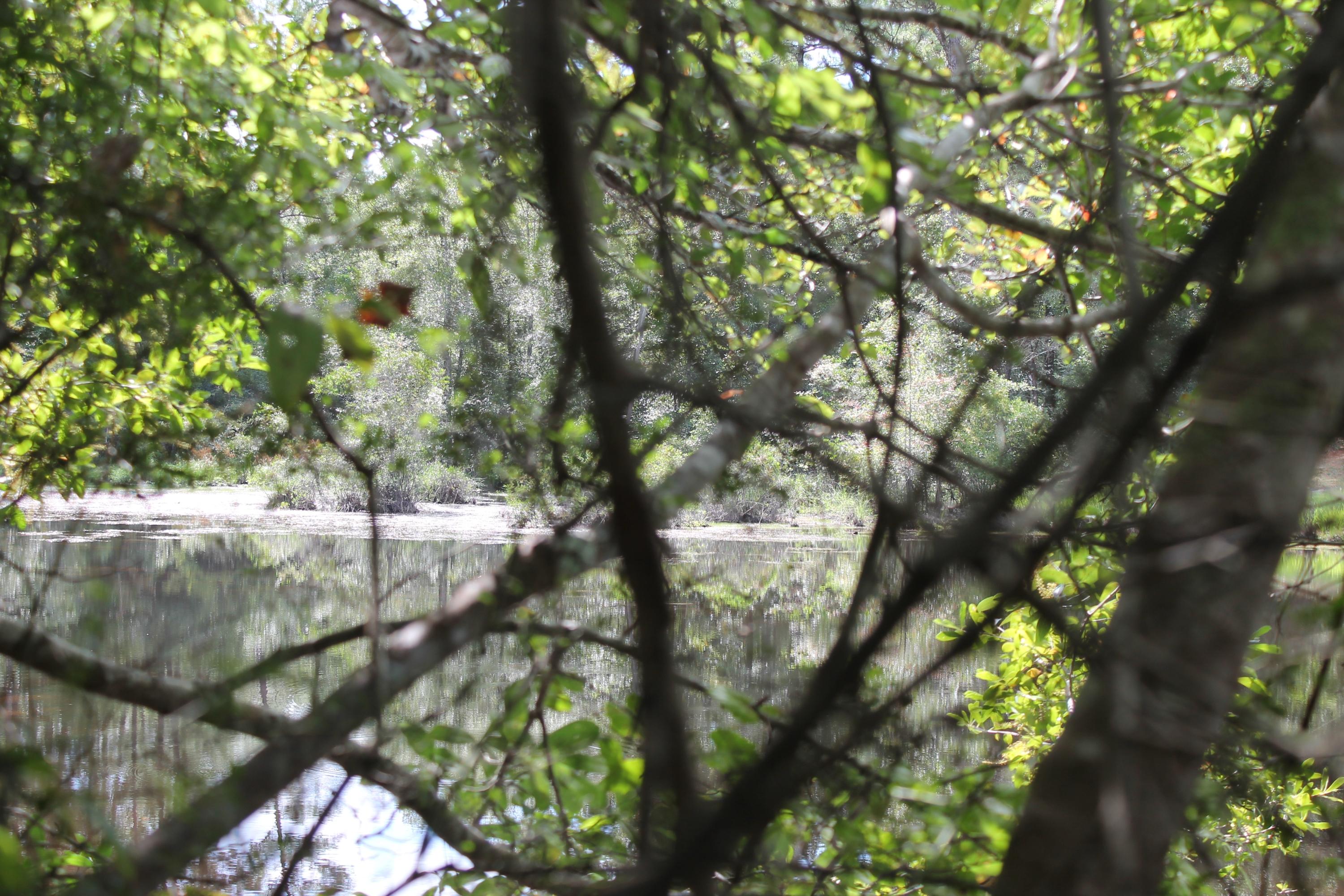 MT OLIVE ESTATES - Residential