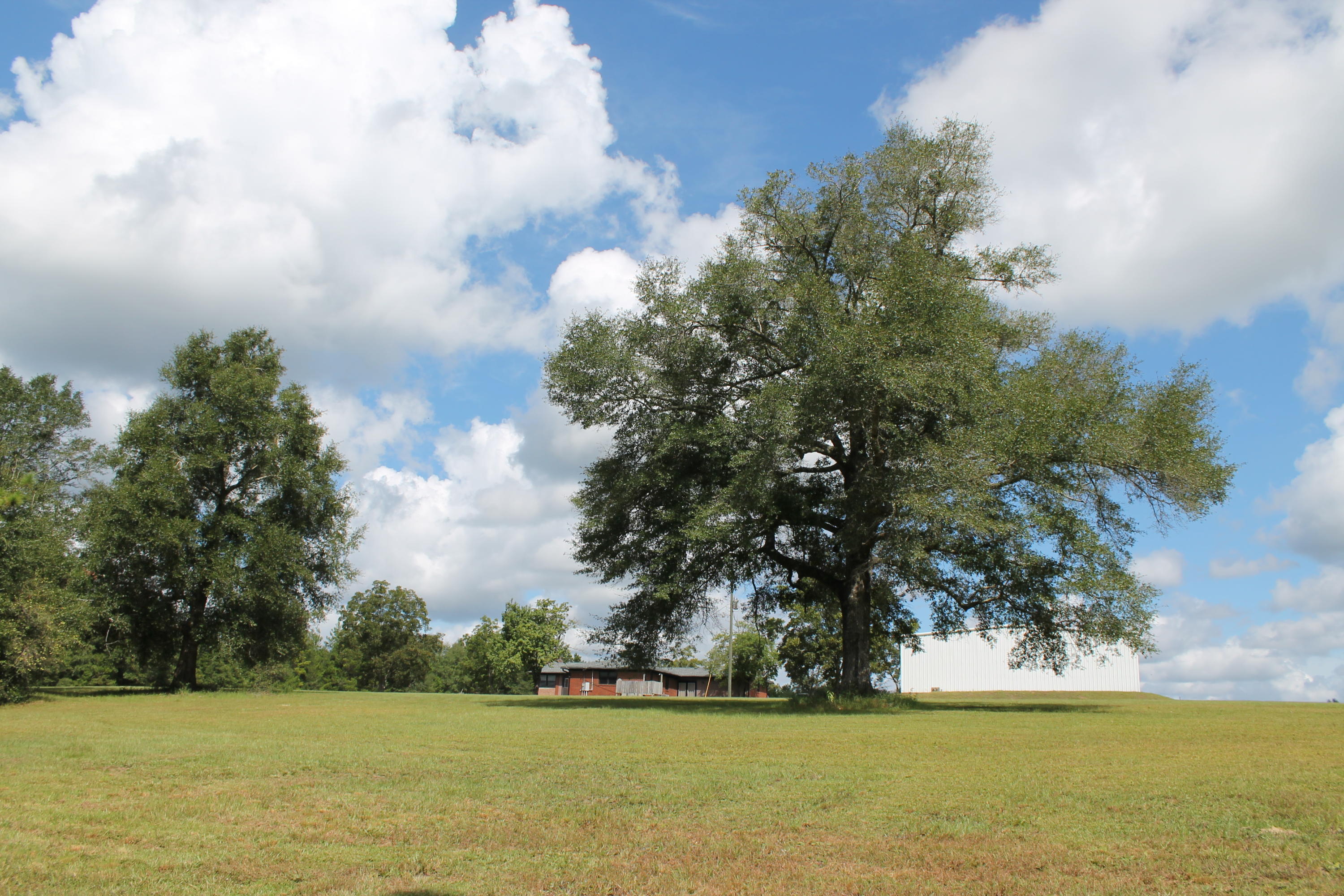 MT OLIVE ESTATES - Residential