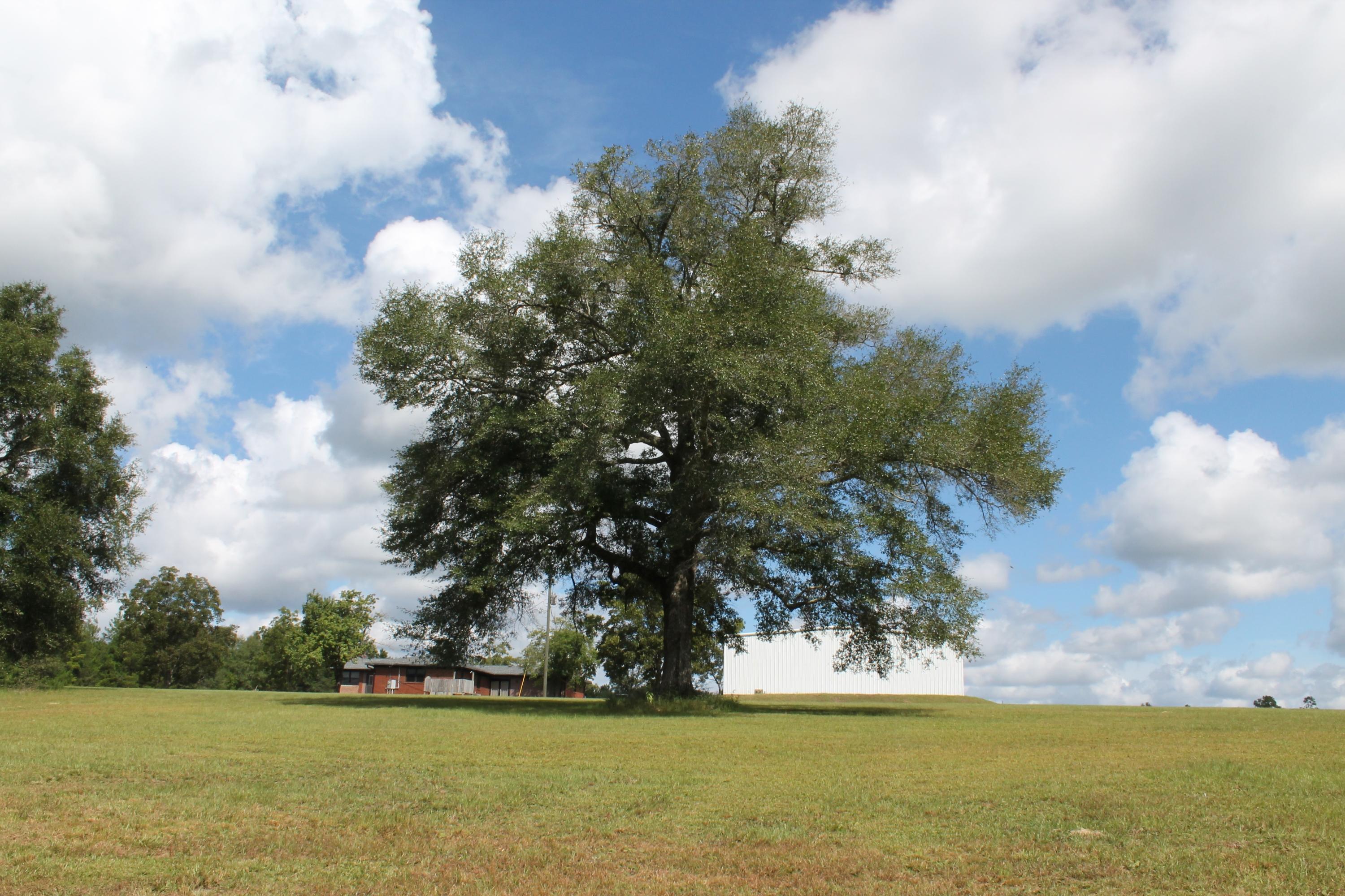 MT OLIVE ESTATES - Residential