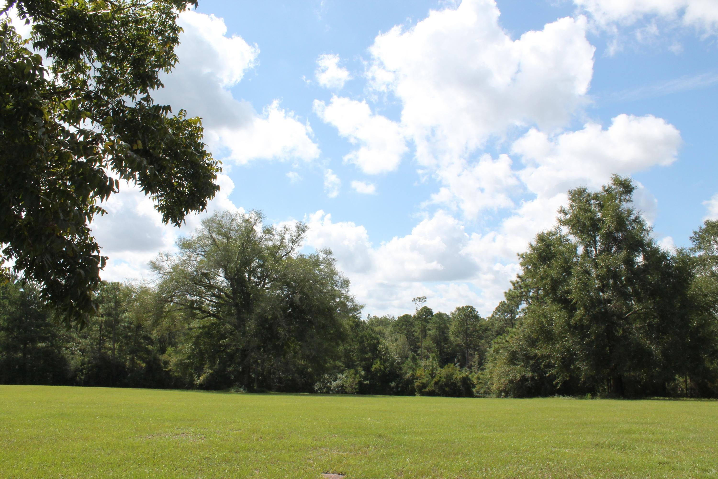 MT OLIVE ESTATES - Residential