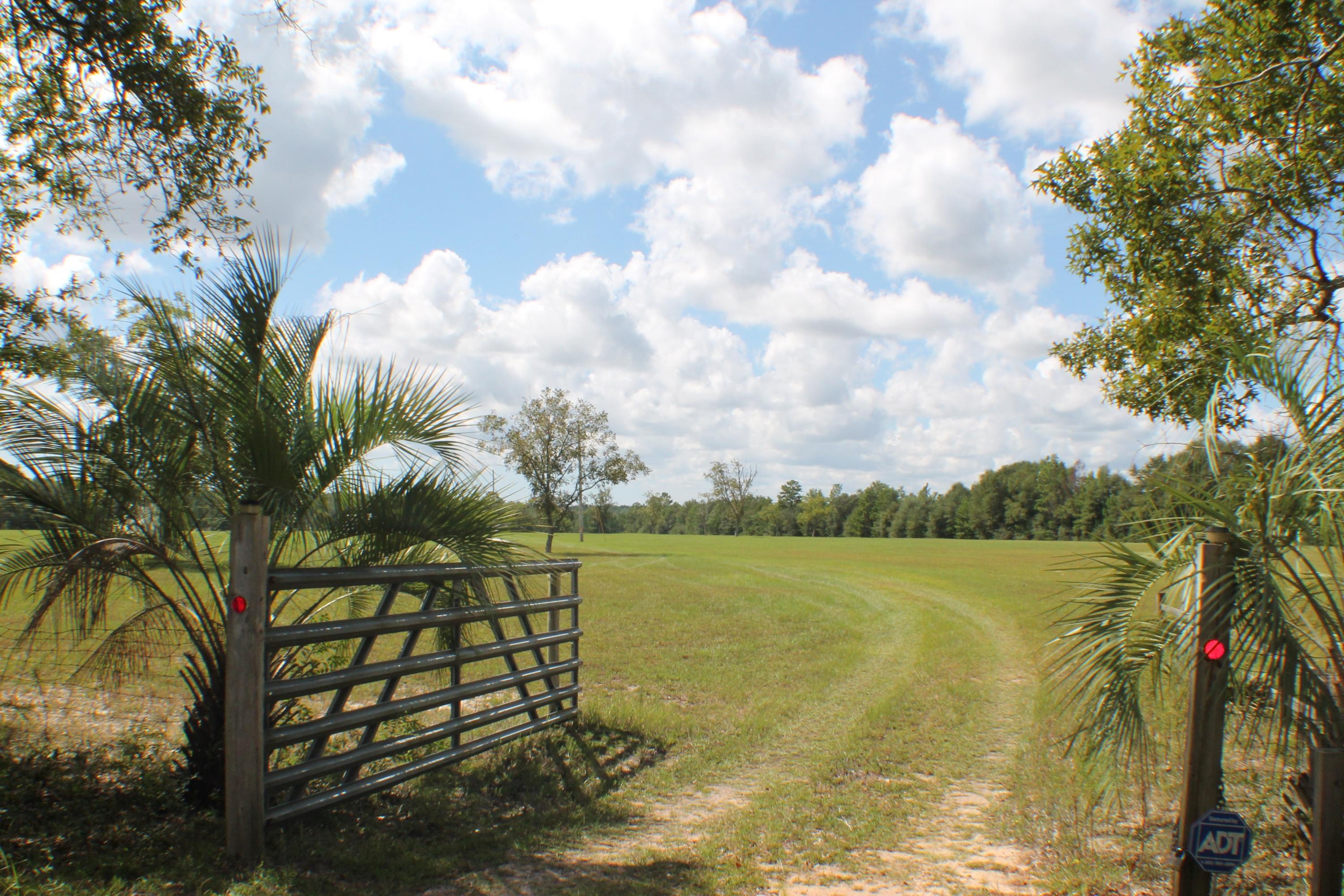 MT OLIVE ESTATES - Residential