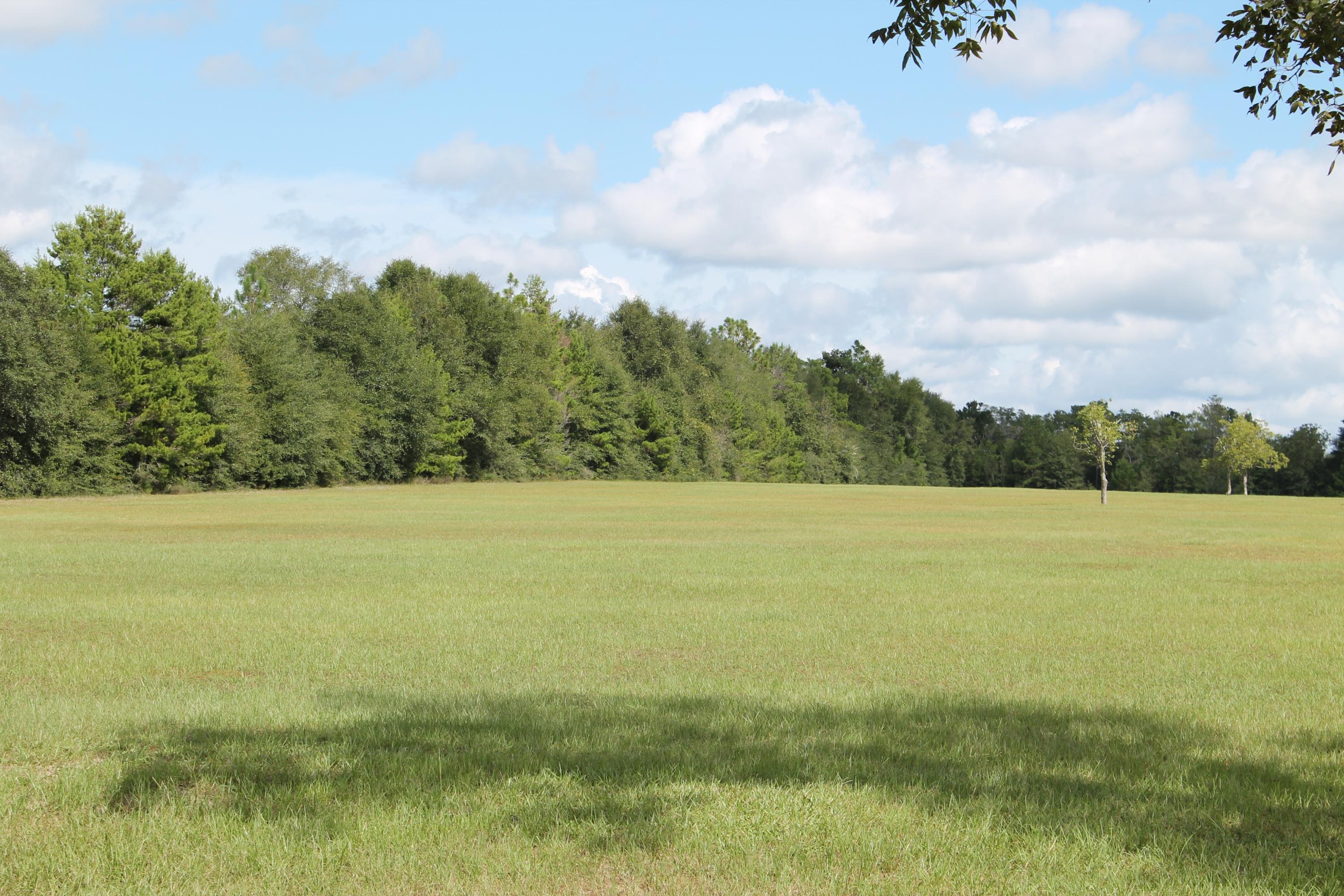 MT OLIVE ESTATES - Residential