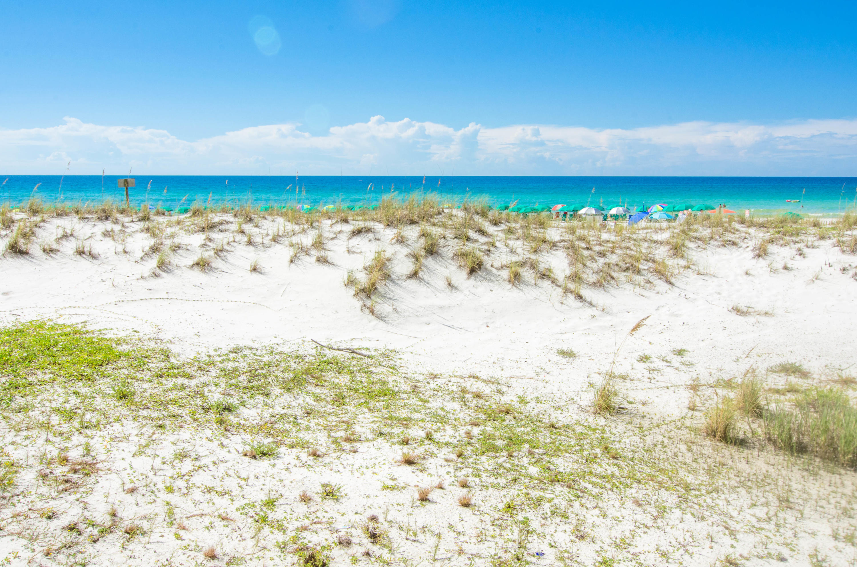 PELICAN BEACH RESORT CONDO - Residential