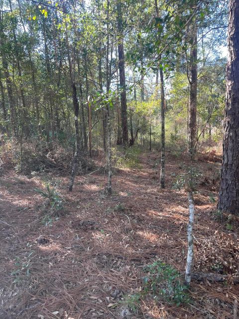 Photo of X Blue Ridge Blvd, DeFuniak Springs, FL 32433 (MLS # 990372)